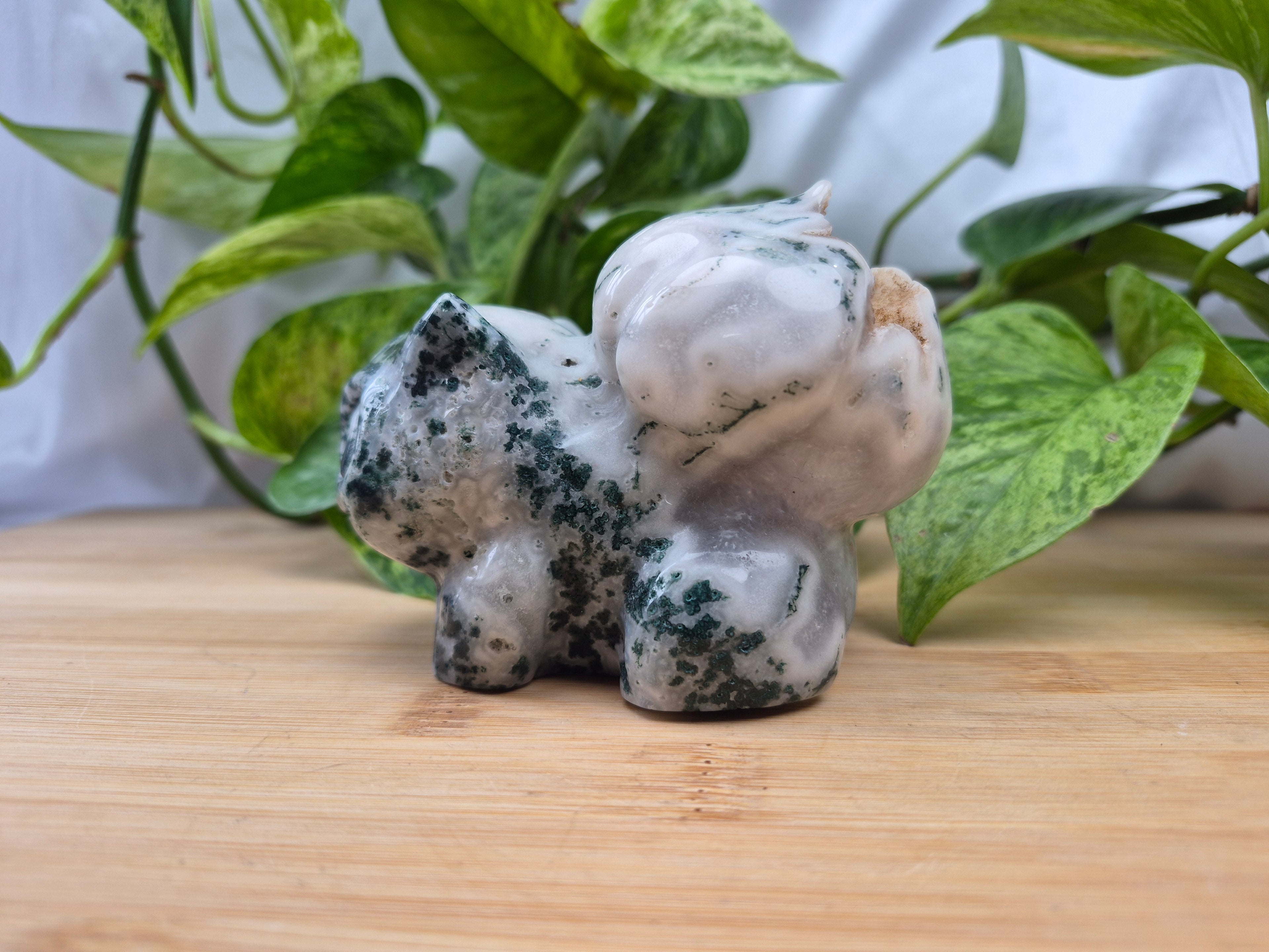 MOSS AGATE BULBASAUR XL