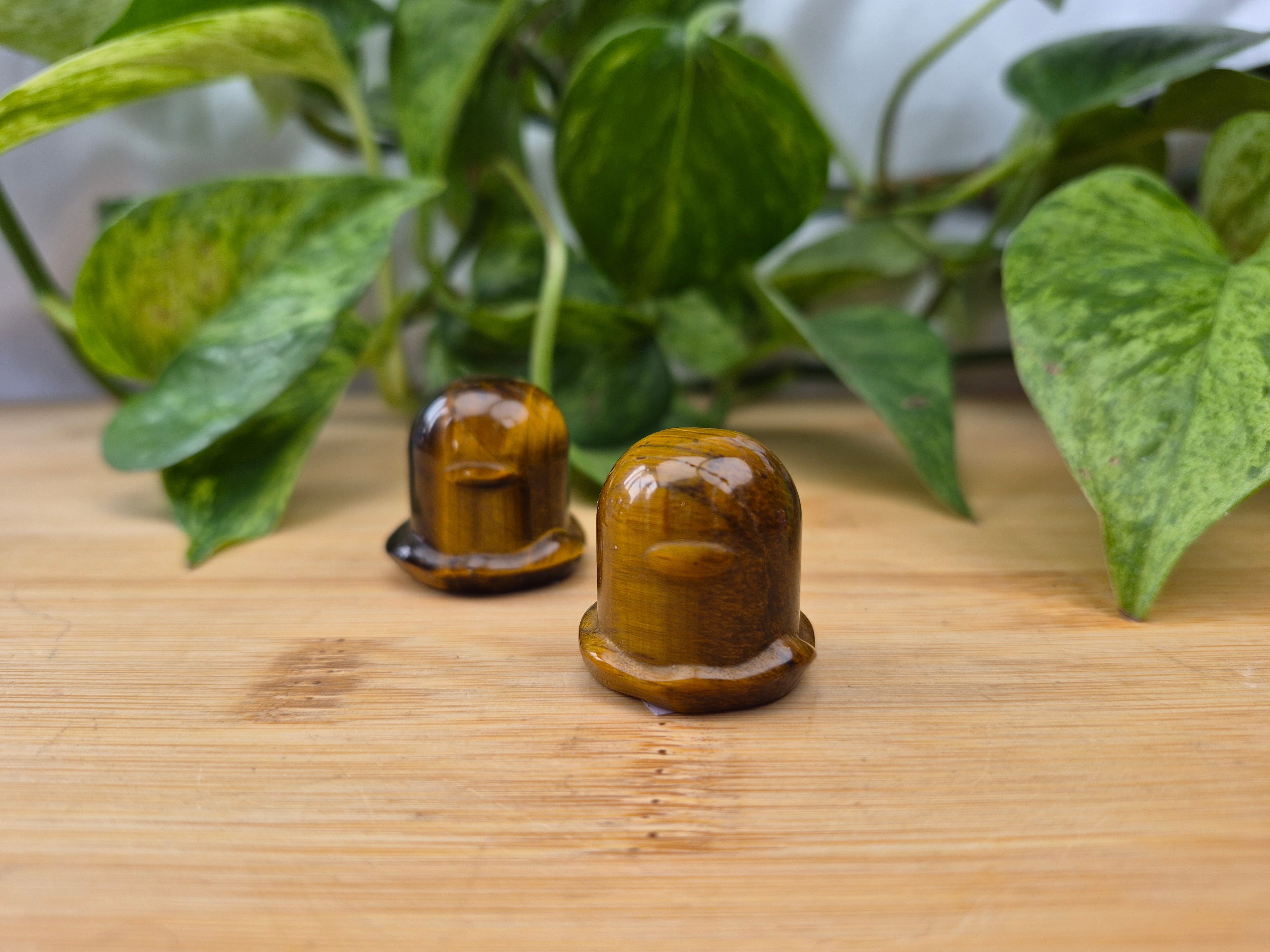 TIGERS EYE DIGLETT