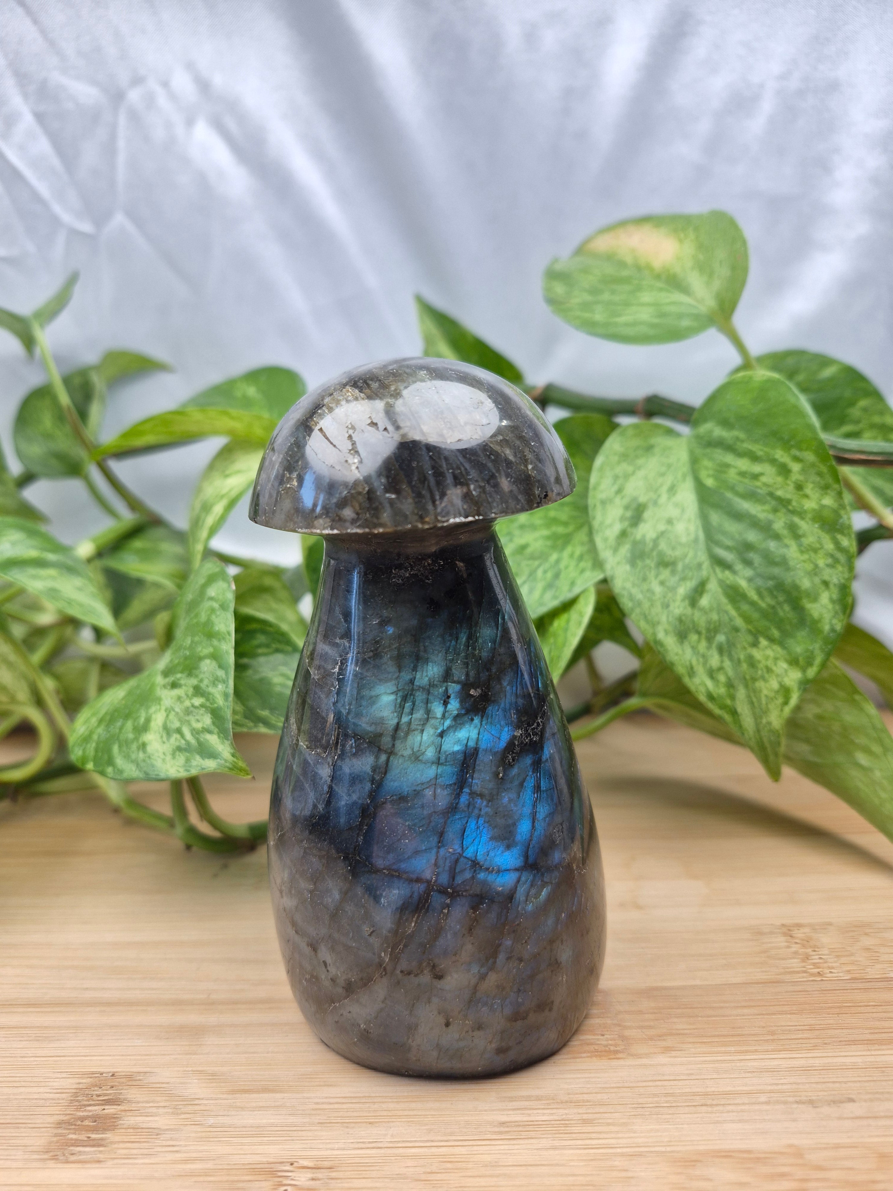 LABRADORITE MUSHROOM