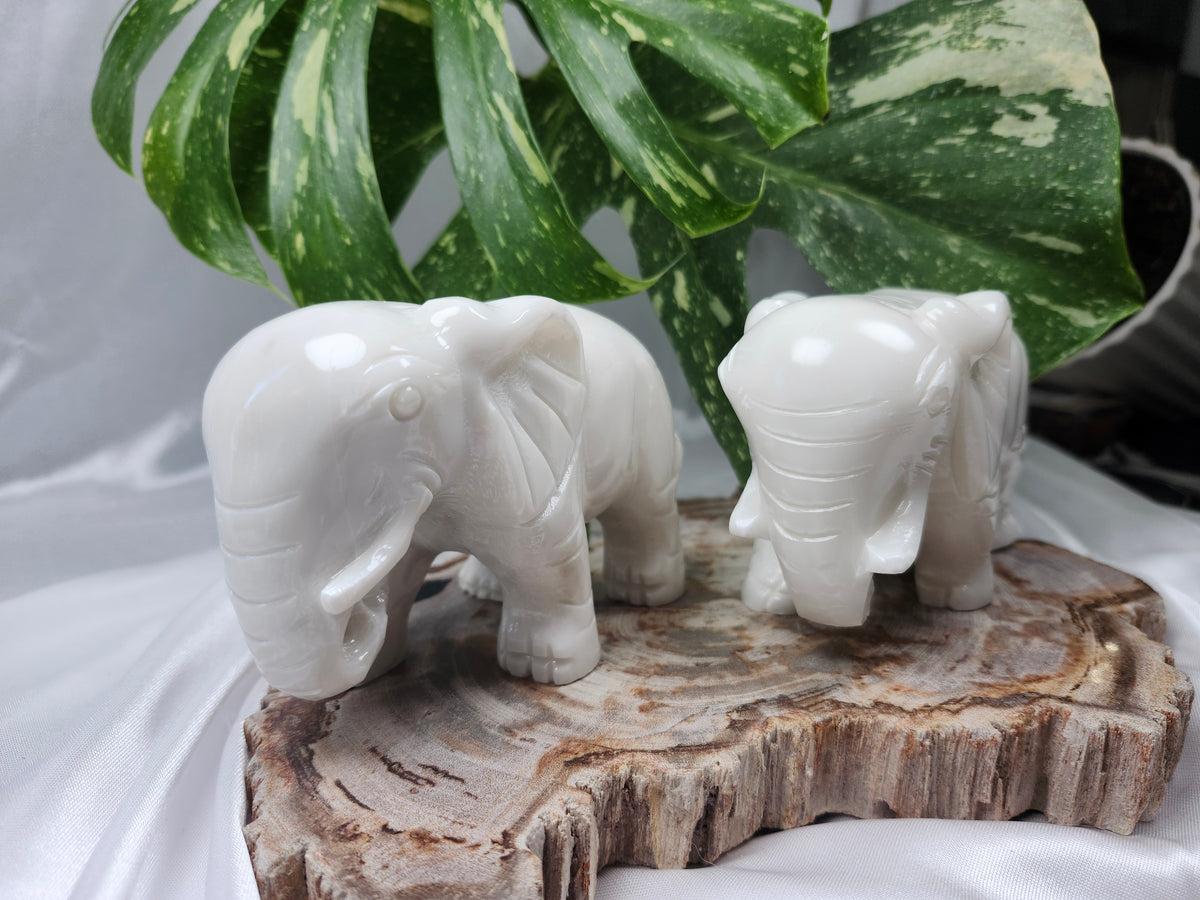 WHITE JADE ELEPHANT