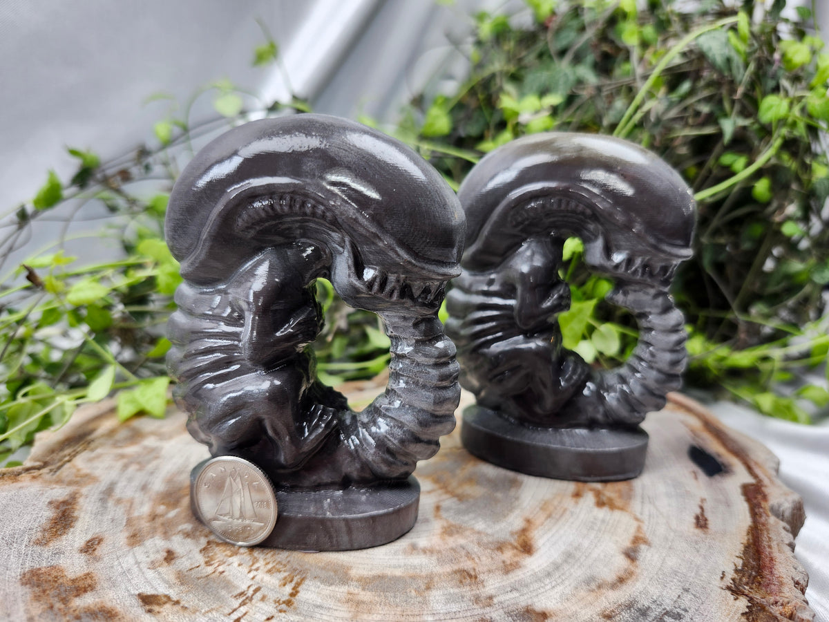POLYCHROME JASPER ALIEN
