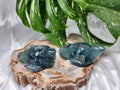 FLUORITE TURTLE