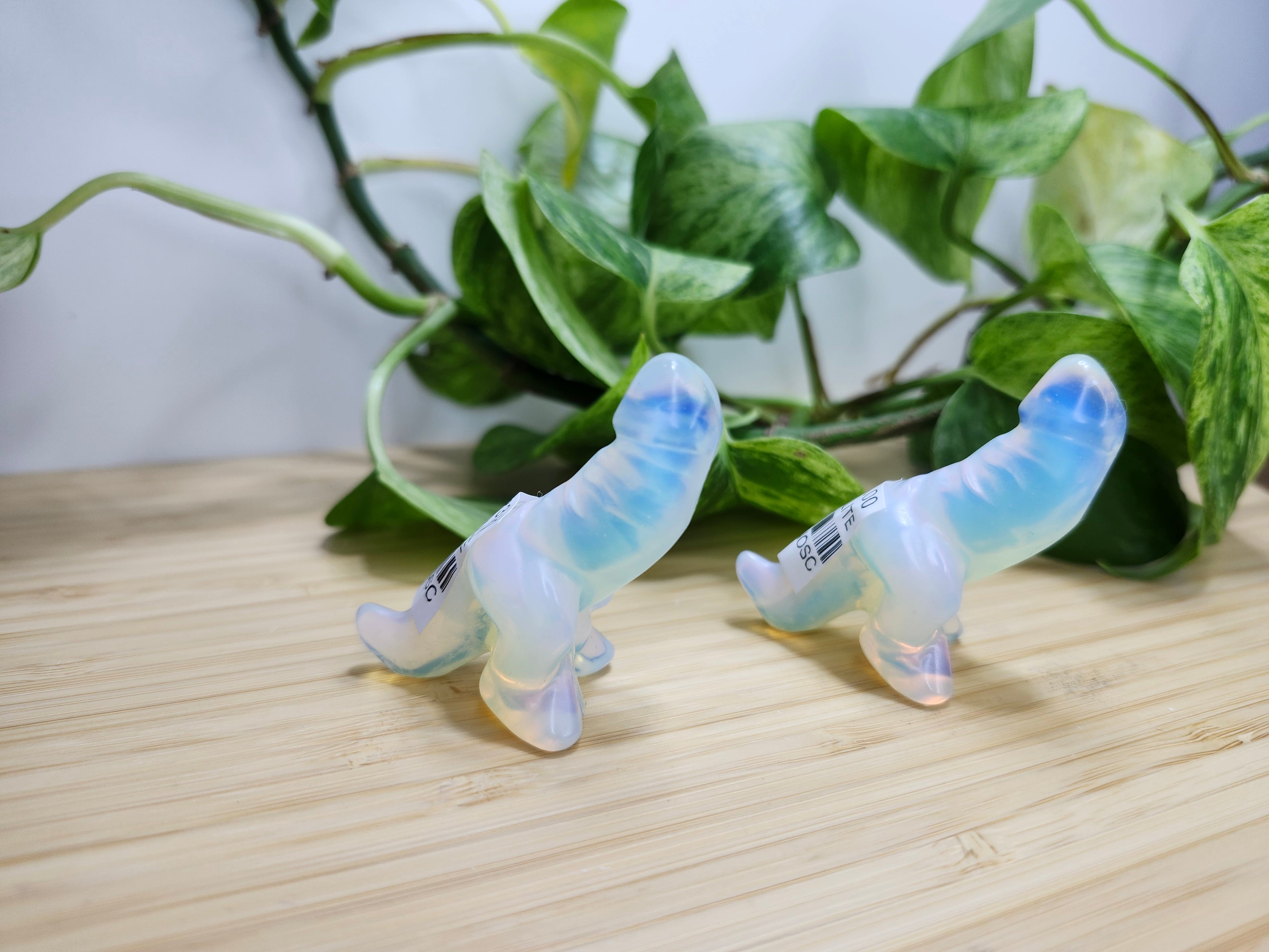 OPALITE SM DICK-A-SAURUS