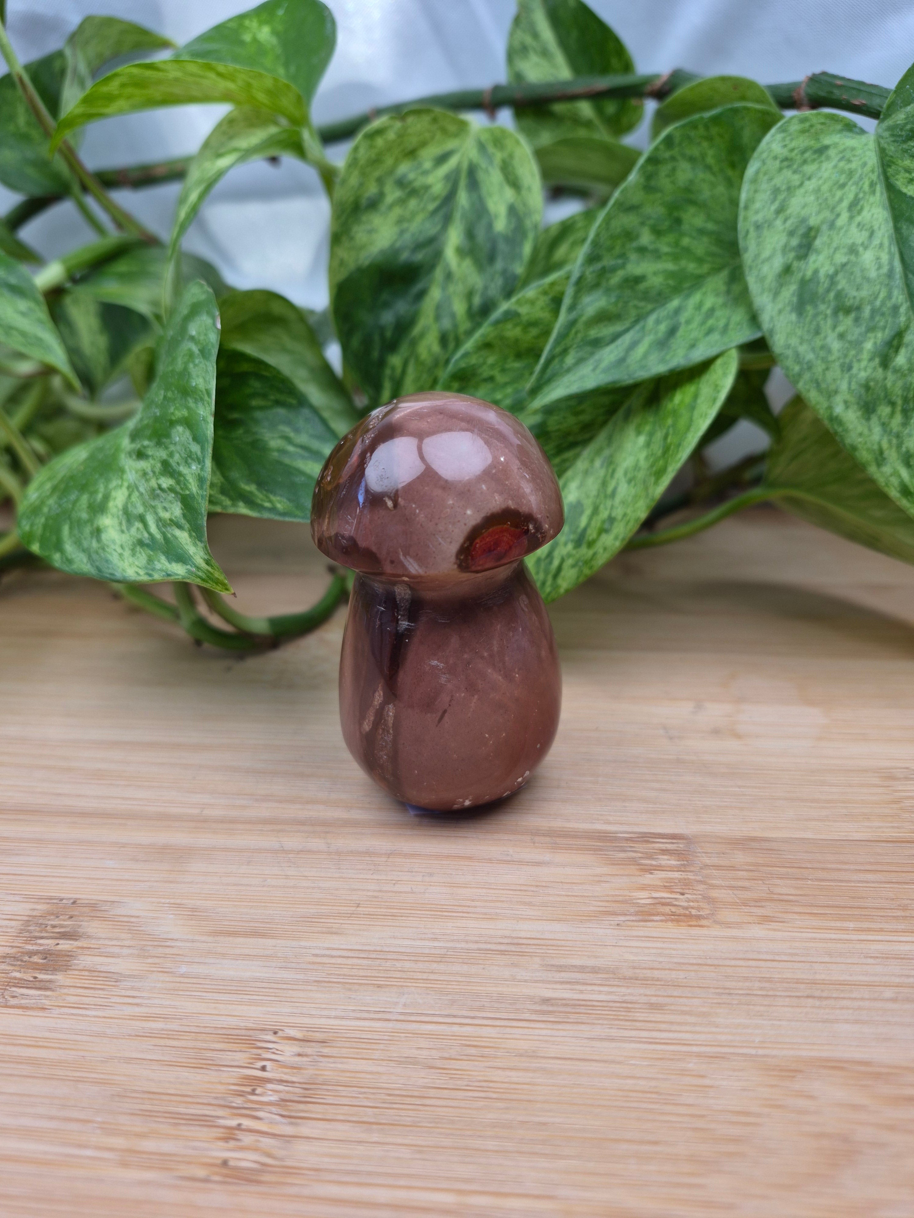 POLYCHROME JASPER MUSHROOM