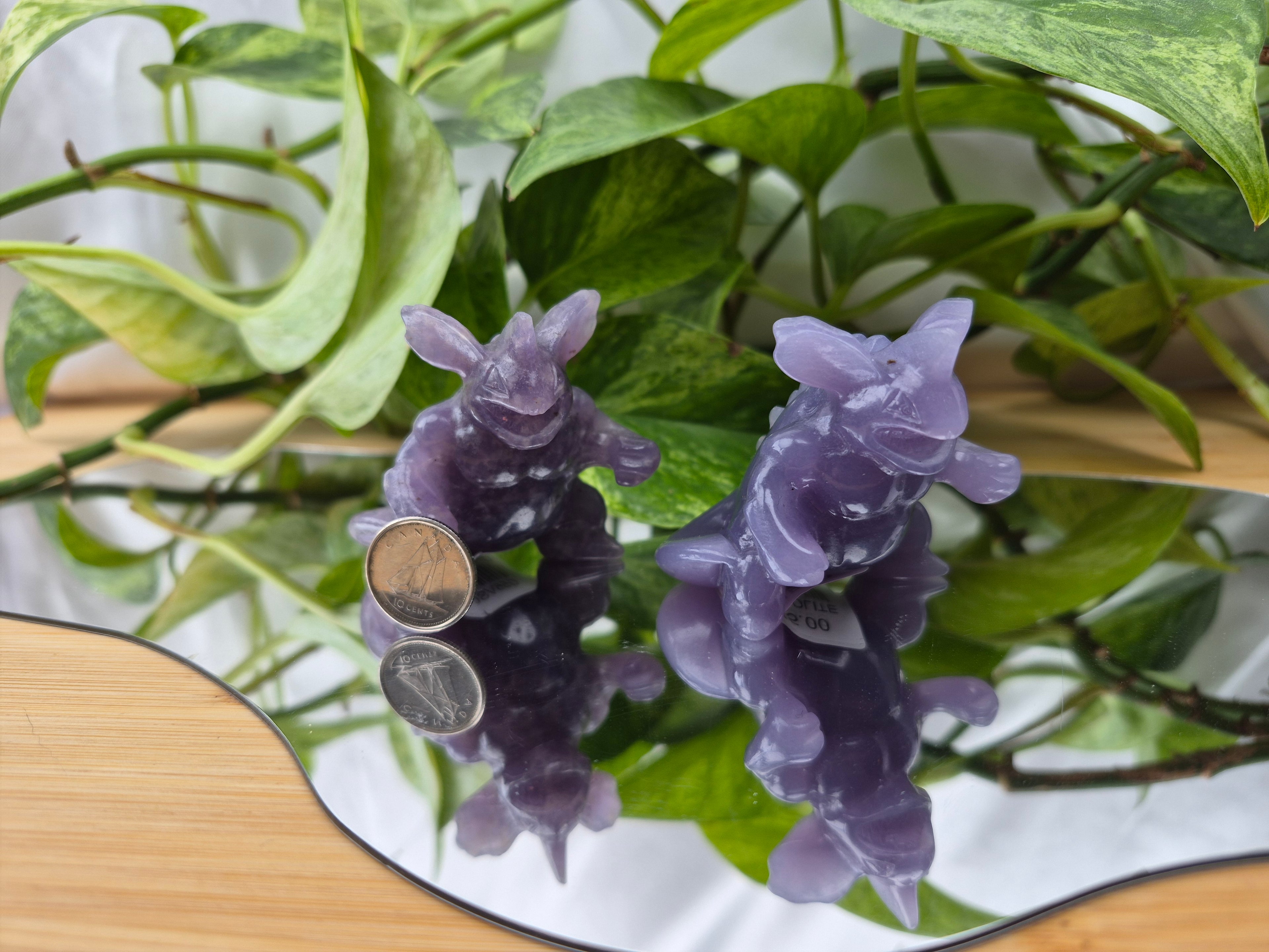 LEPIDOLITE NIDOKING