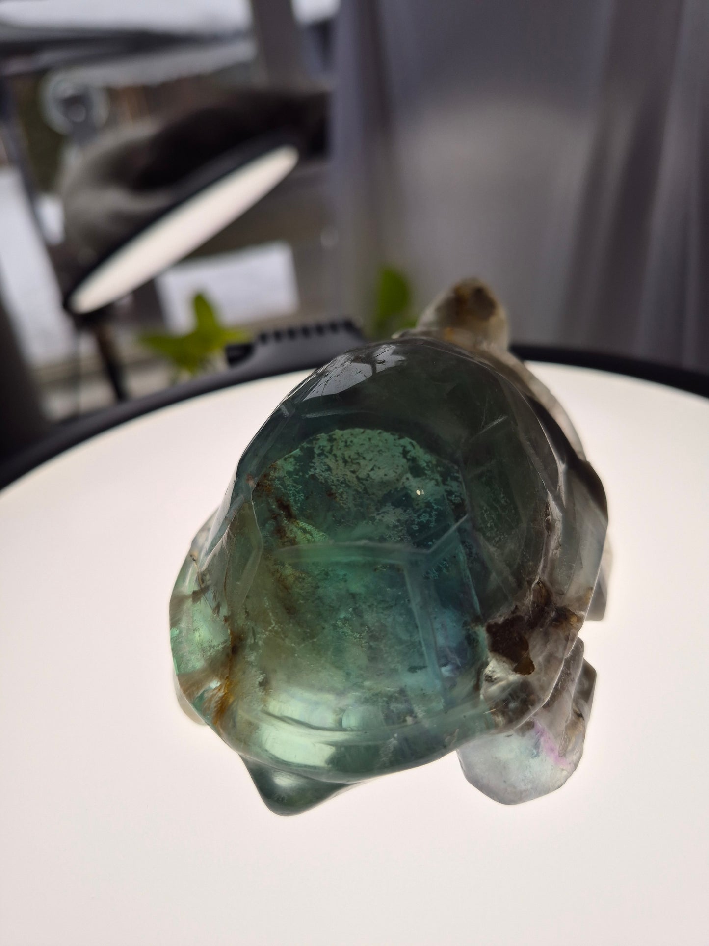 FEATHER FLUORITE TURTLE