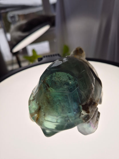 FEATHER FLUORITE TURTLE