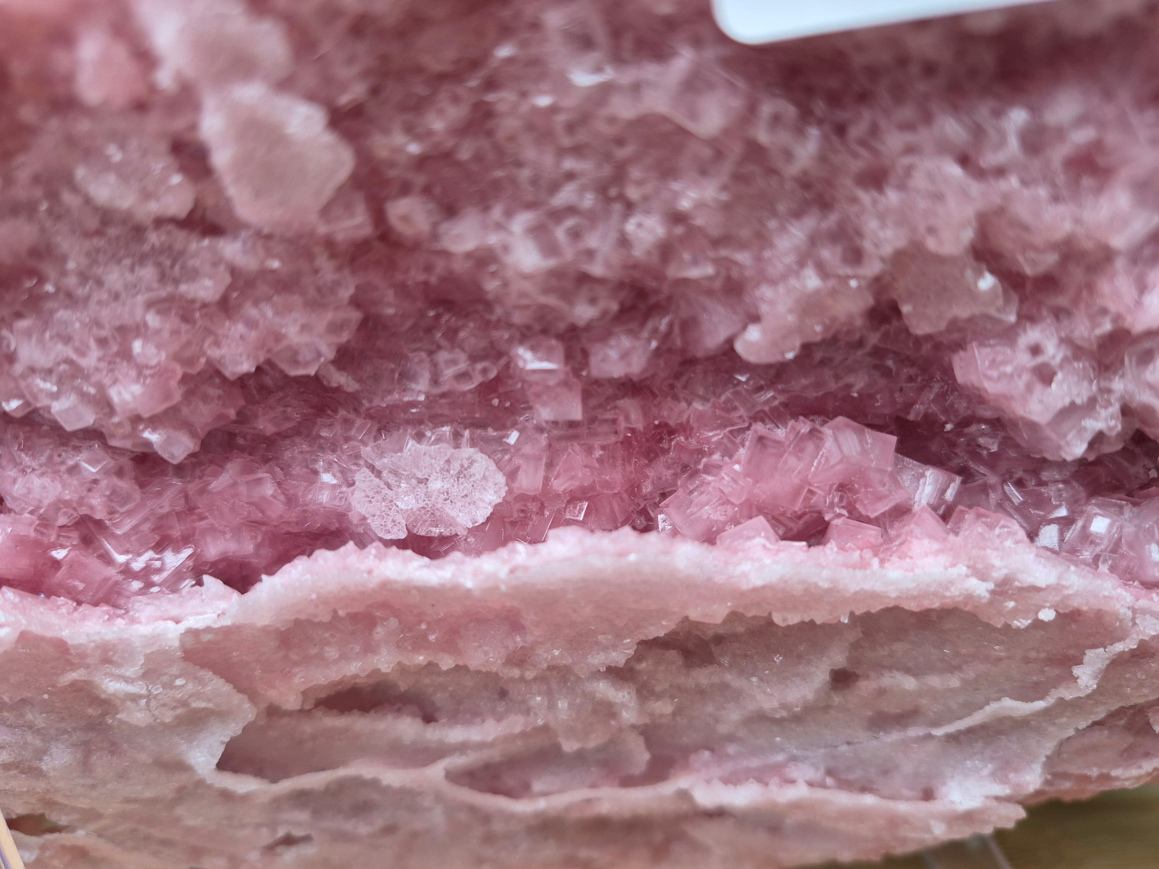 PINK HALITE CLUSTER XL