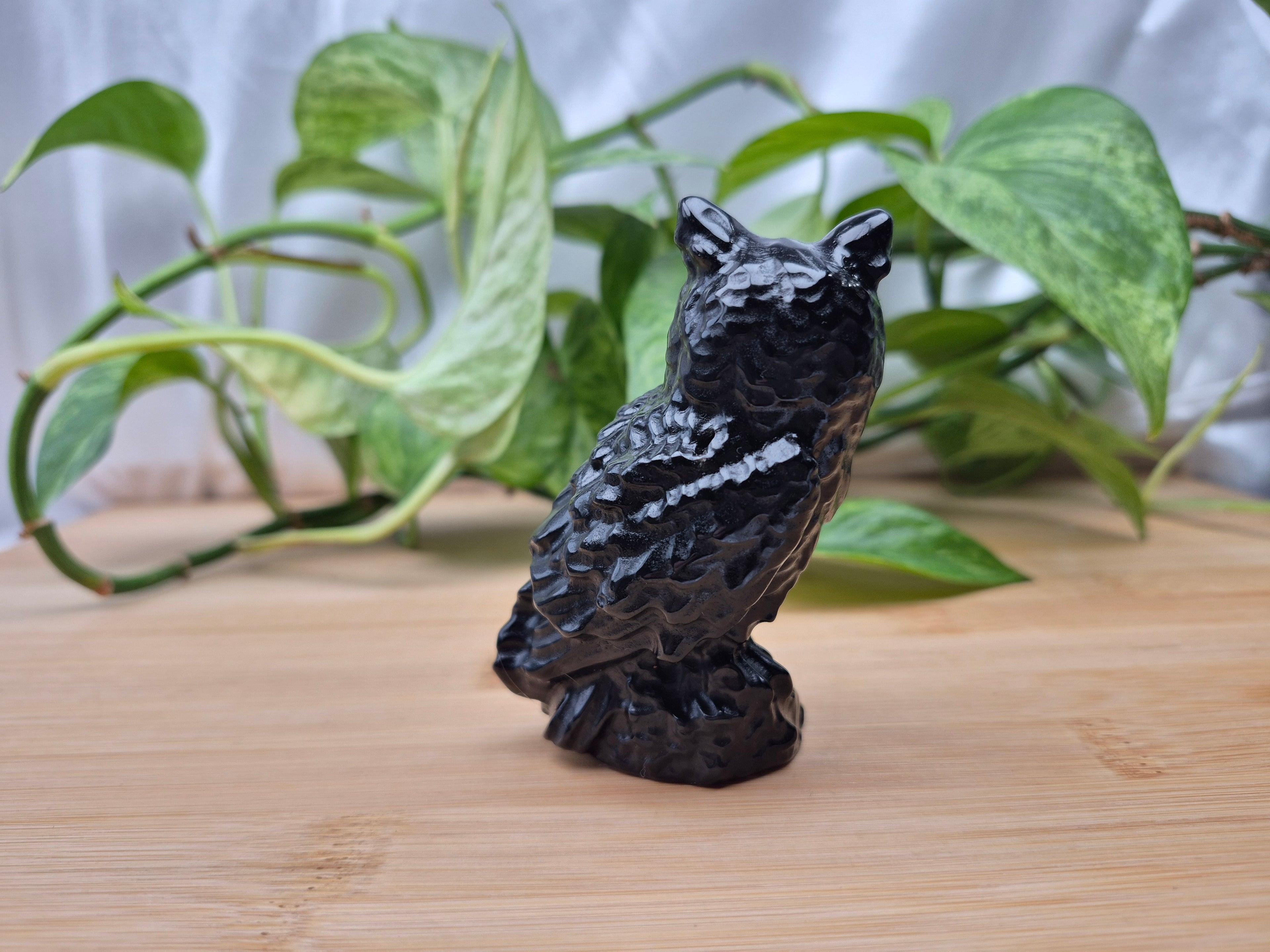OBSIDIAN OWL