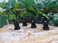 OBSIDIAN BUNEARY