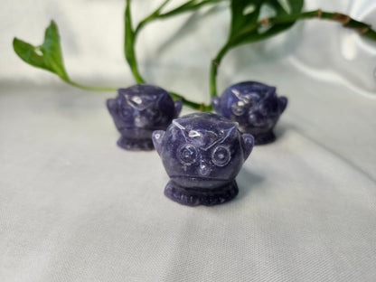 LEPIDOLITE HOOTHOOT (POKEMON)