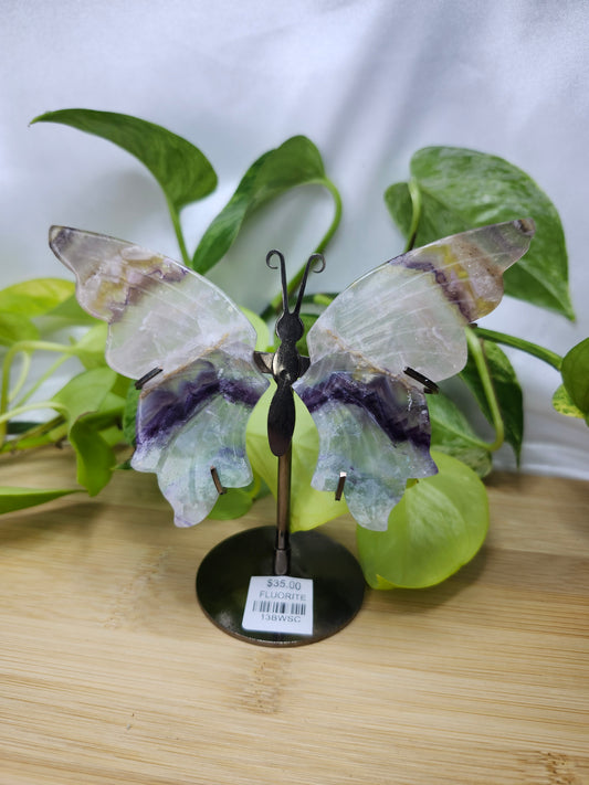 FLUORITE BUTTERFLY WINGS