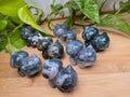 MOSS AGATE BULBASAUR LG