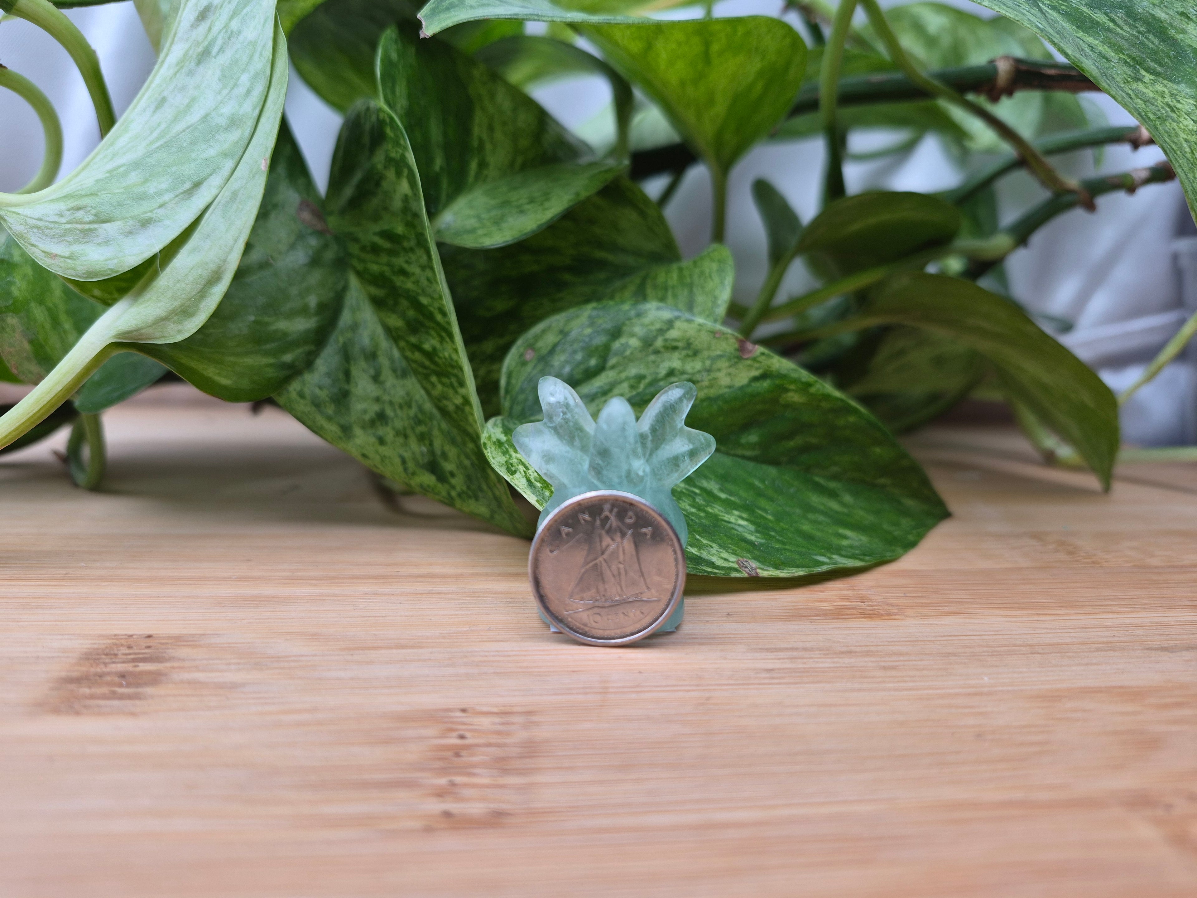 FLUORITE ODDISH