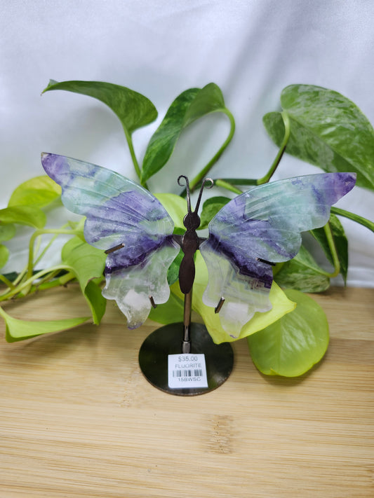 FLUORITE BUTTERFLY WINGS
