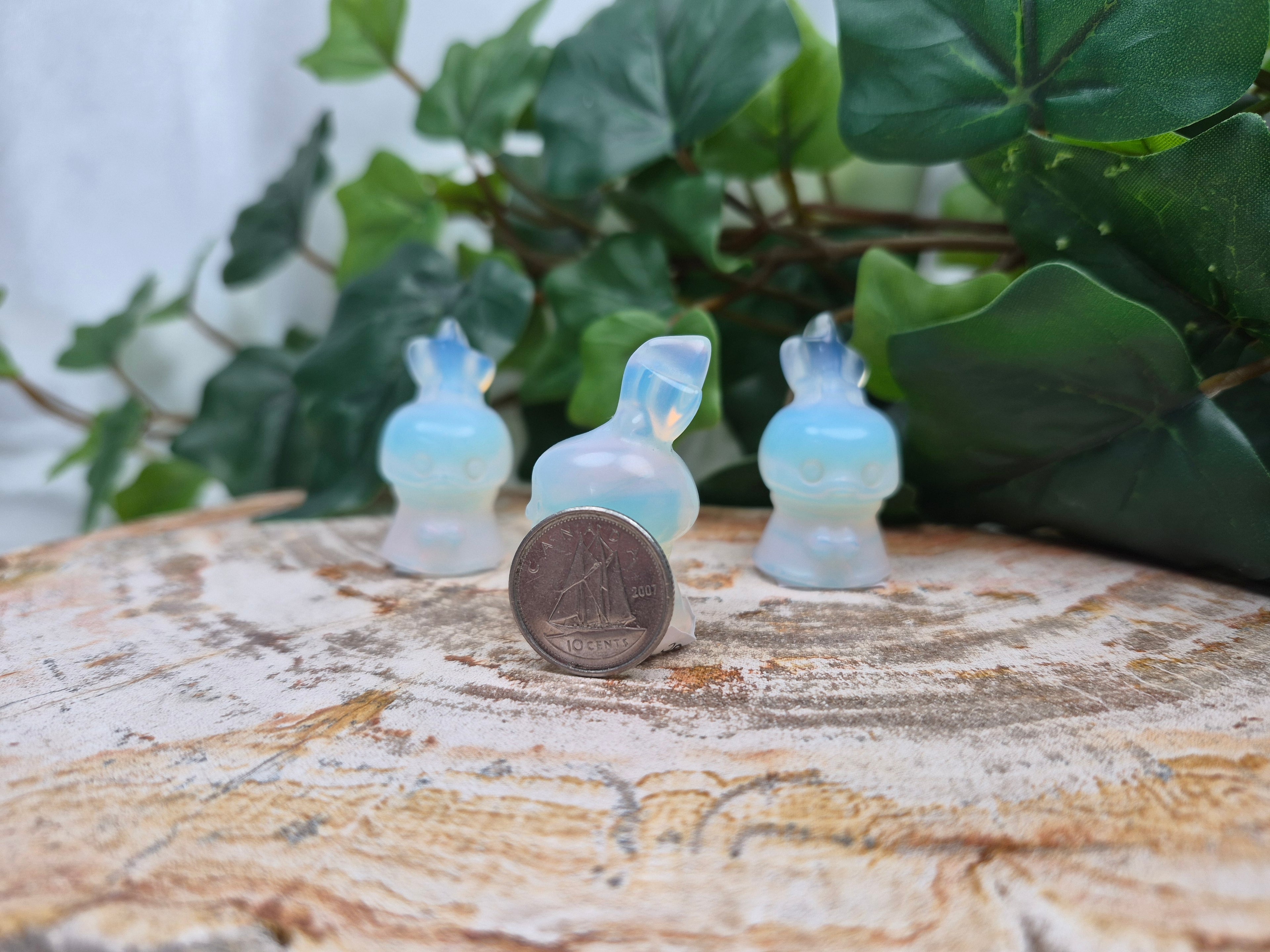 OPALITE TORCHIC