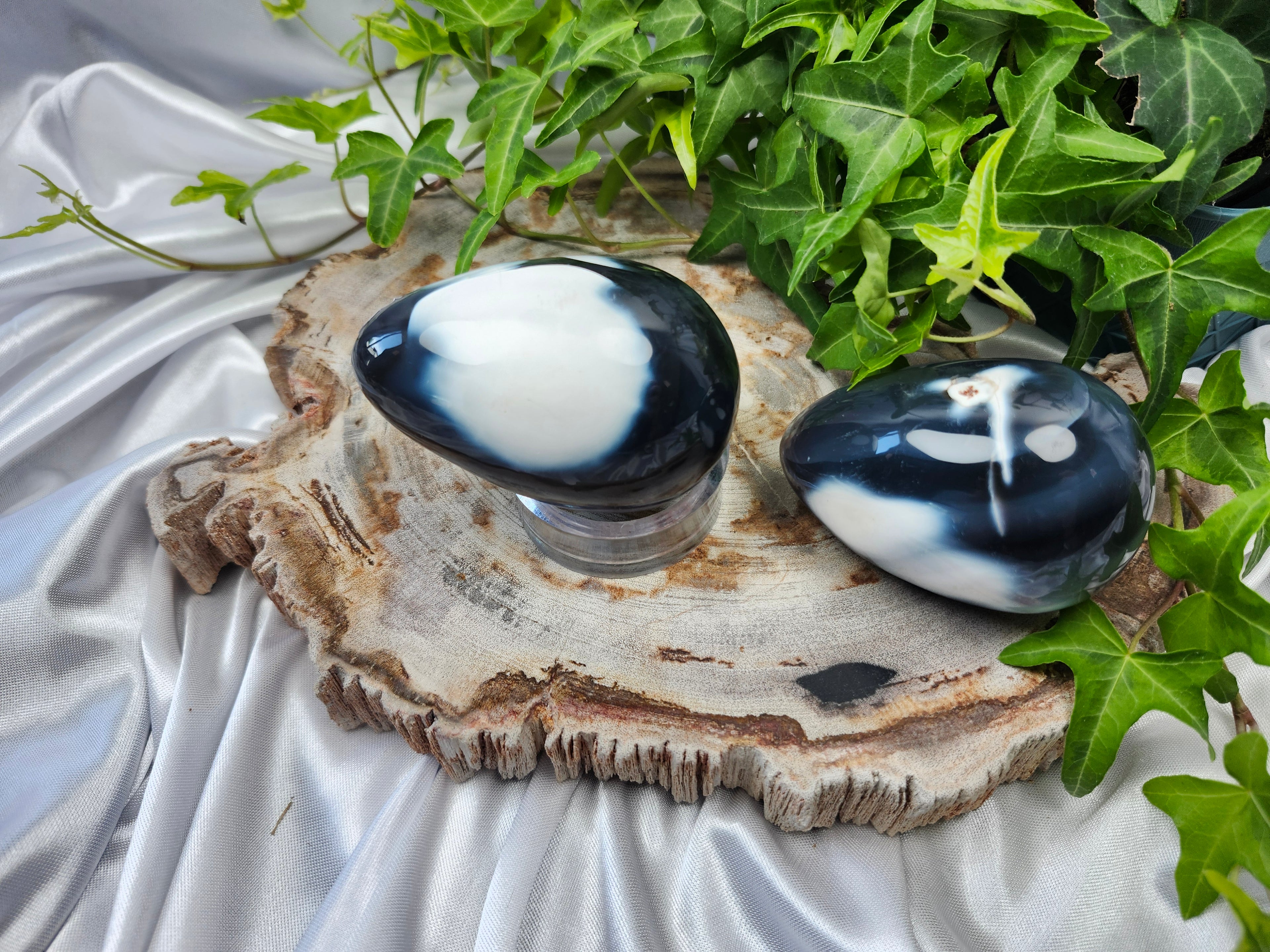 ORCA AGATE EGG