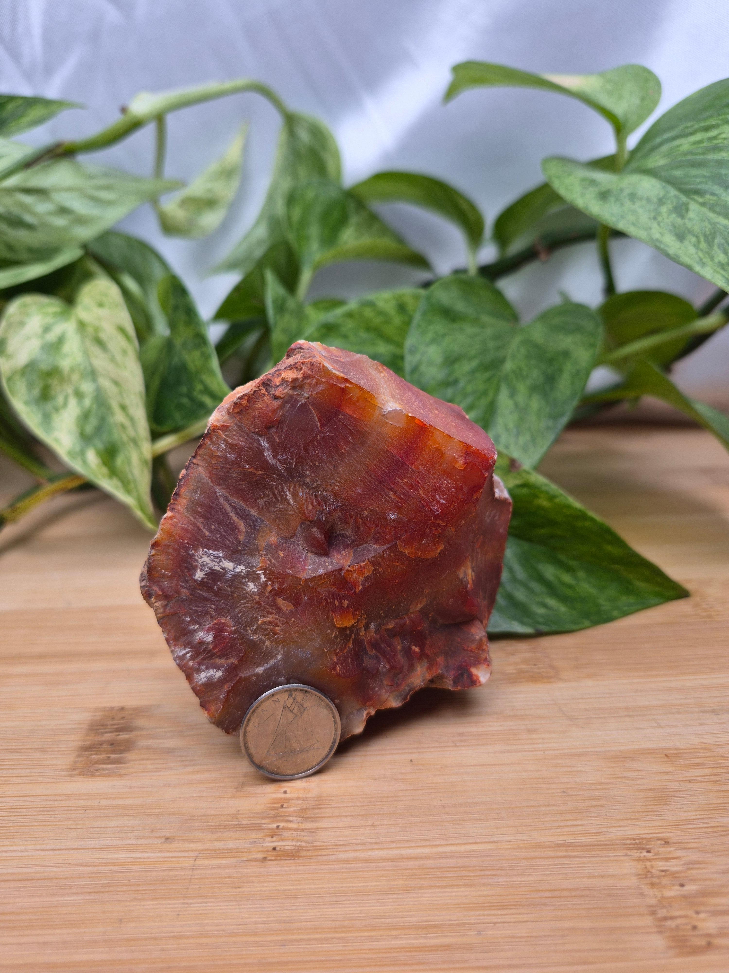 CARNELIAN AGATE ROUGH CHUNK