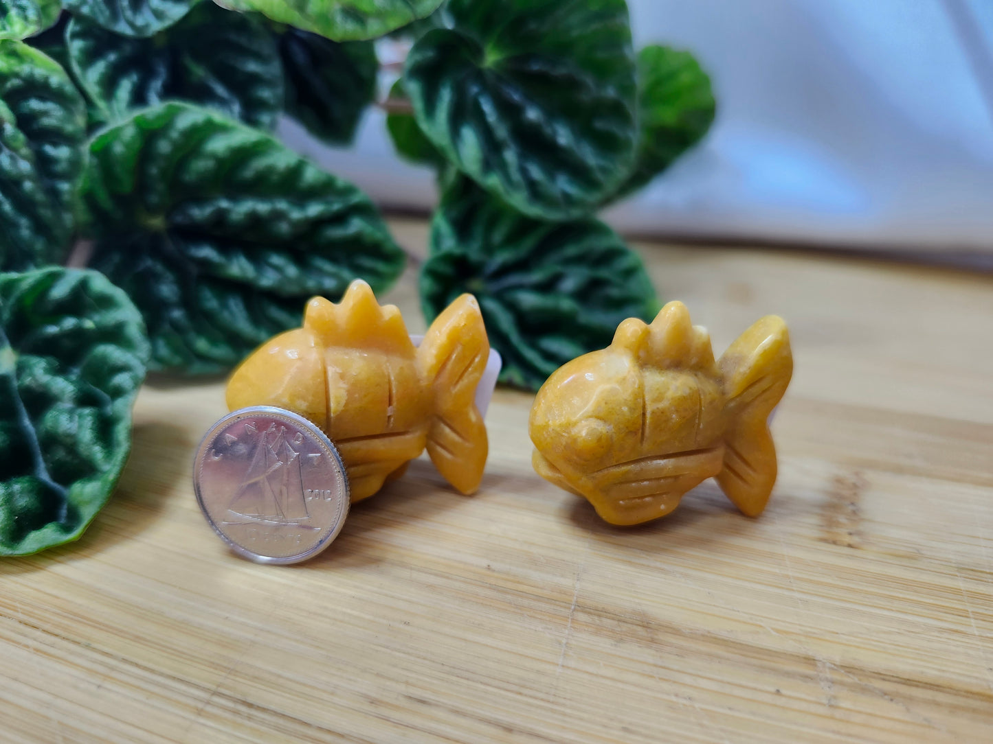 YELLOW JASPER MAGIKARP