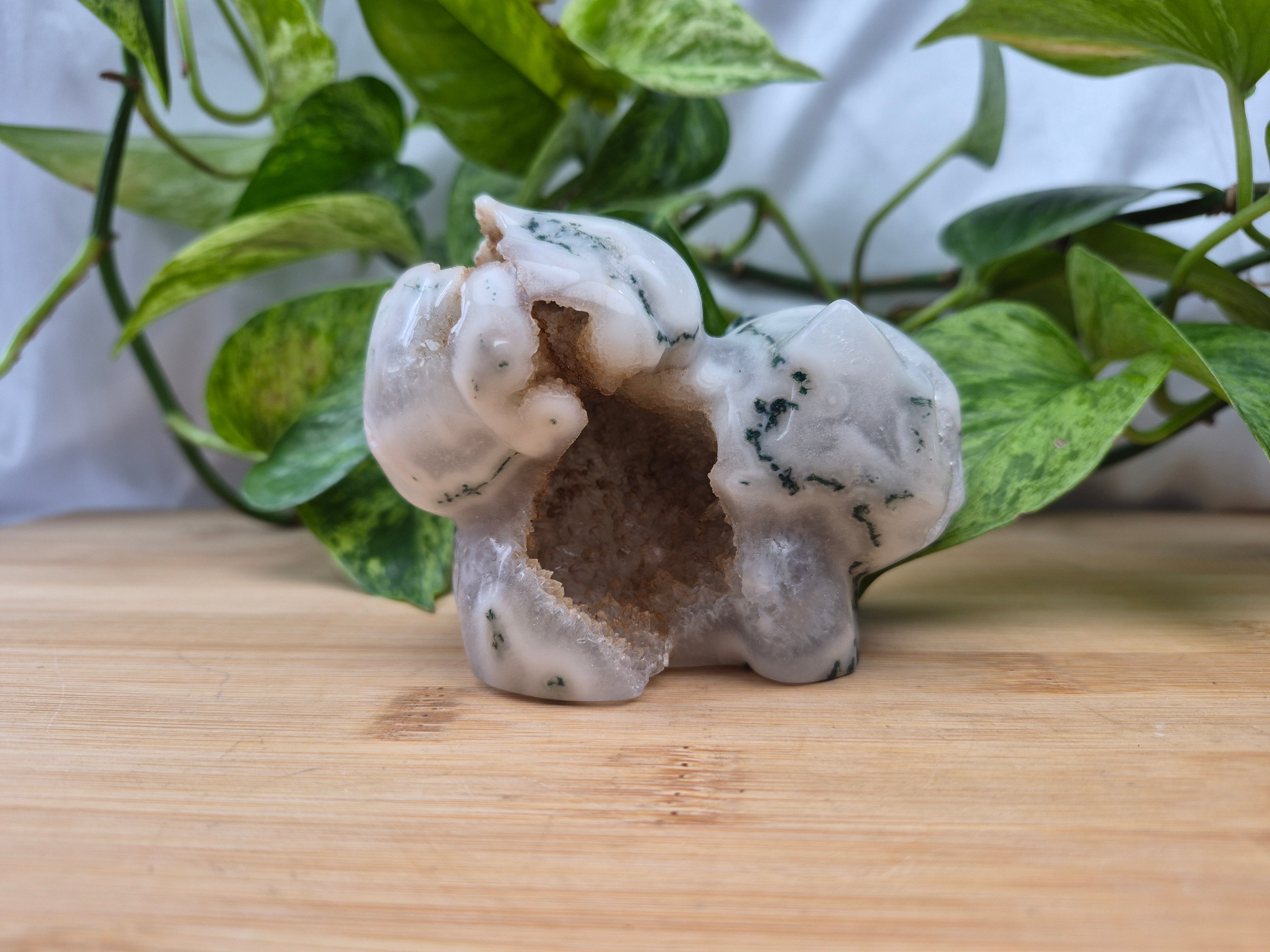 MOSS AGATE BULBASAUR XL