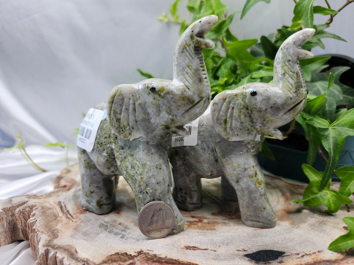 SERPENTINE ELEPHANT