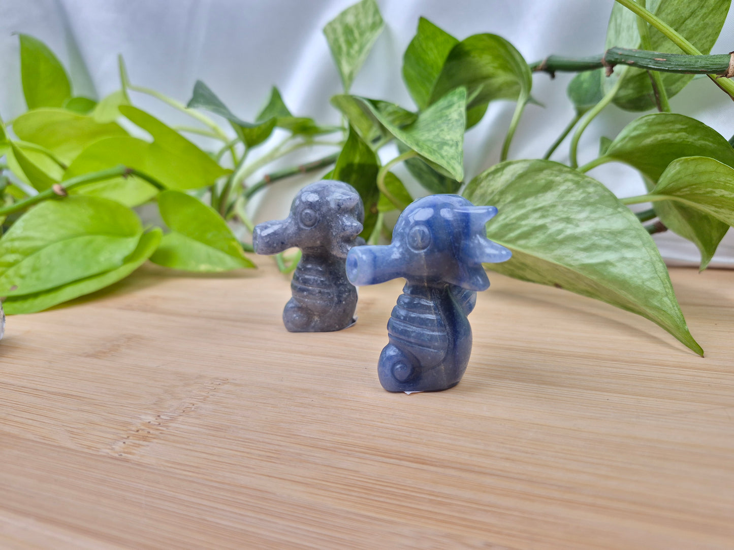 BLUE AVENTURINE HORSEA