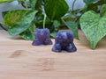 LEPIDOLITE NIDOKING
