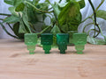 CATS EYE MINECRAFT CREEPER