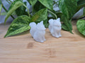 WHITE JADE FOX