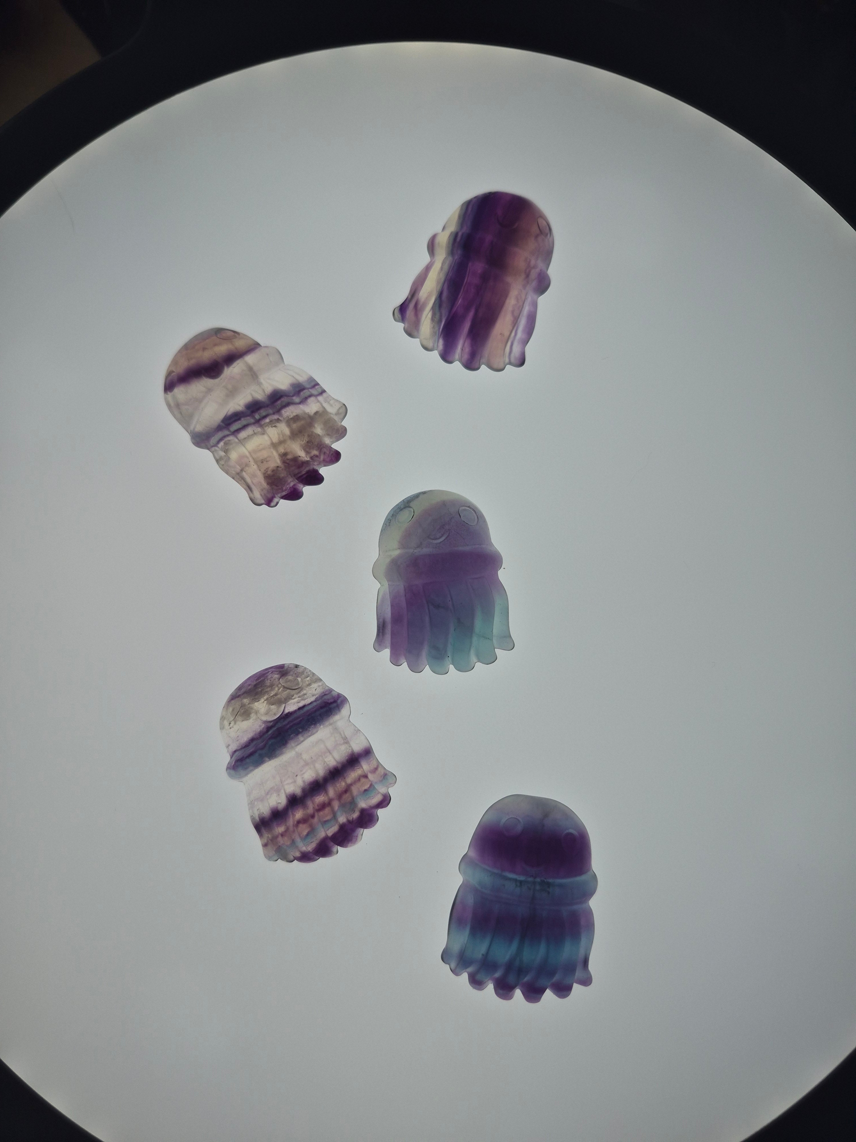 FLUORITE JELLYFISH