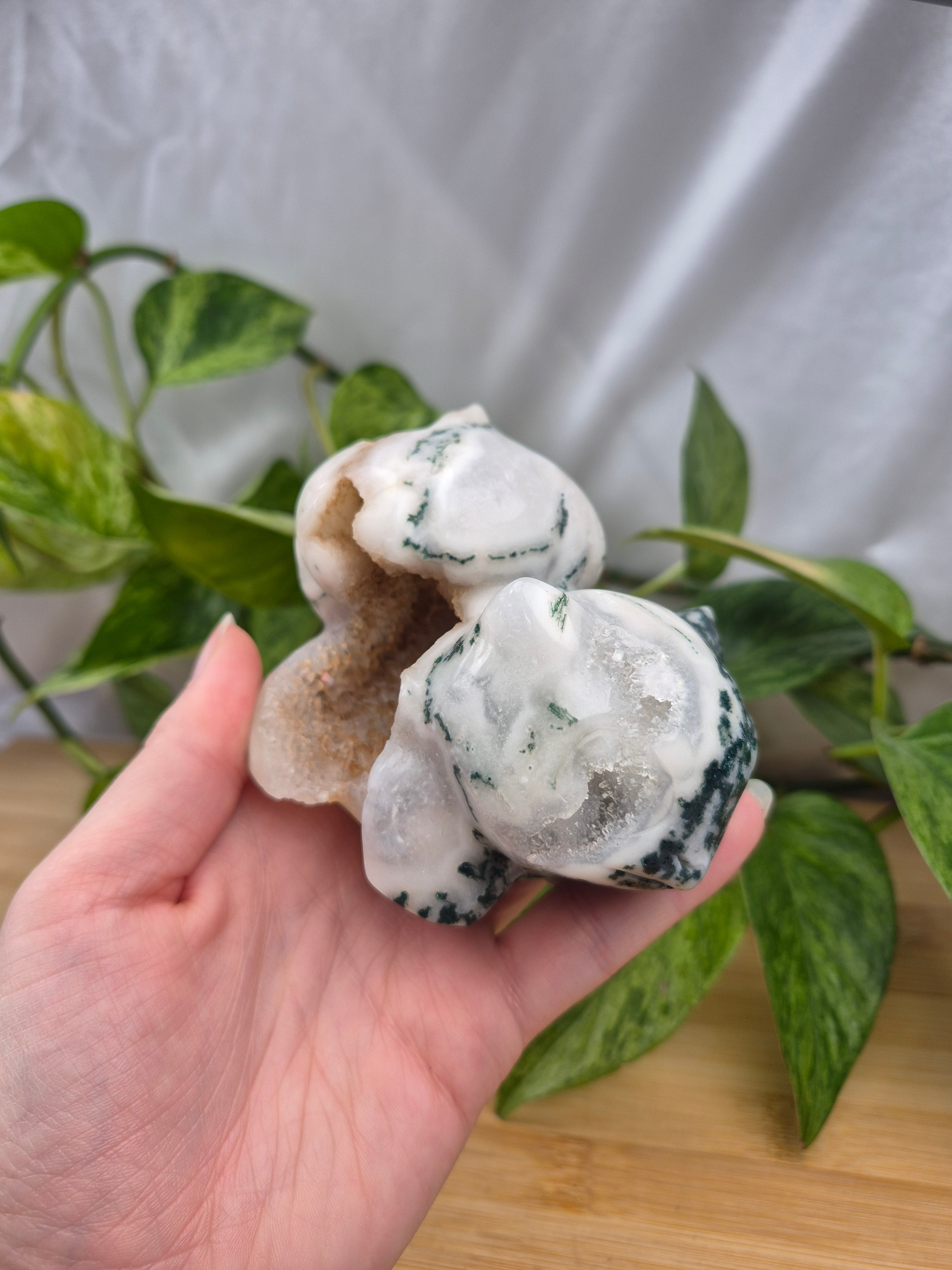 MOSS AGATE BULBASAUR XL