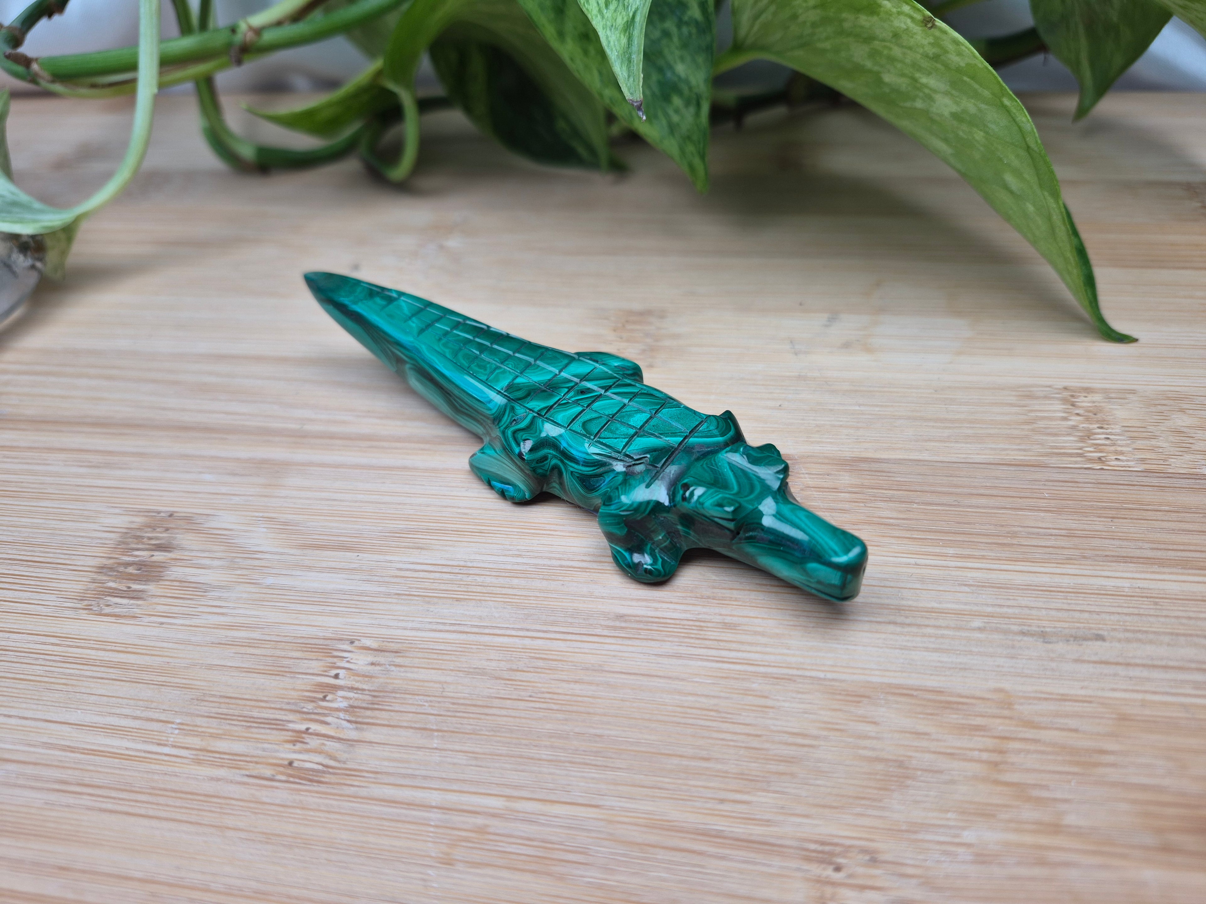 MALACHITE CROCODILE