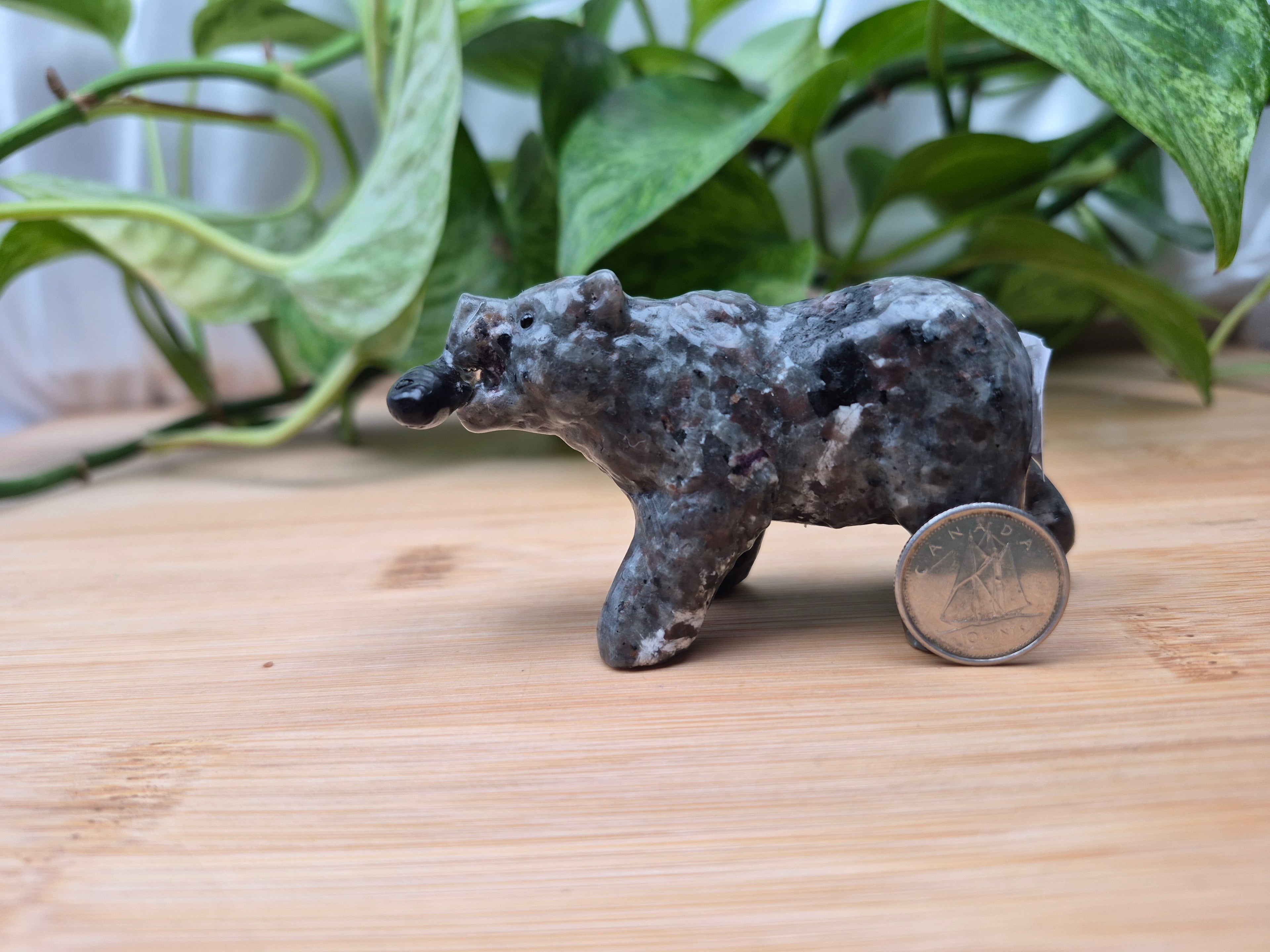 YOOPERLITE BEAR WITH FISH