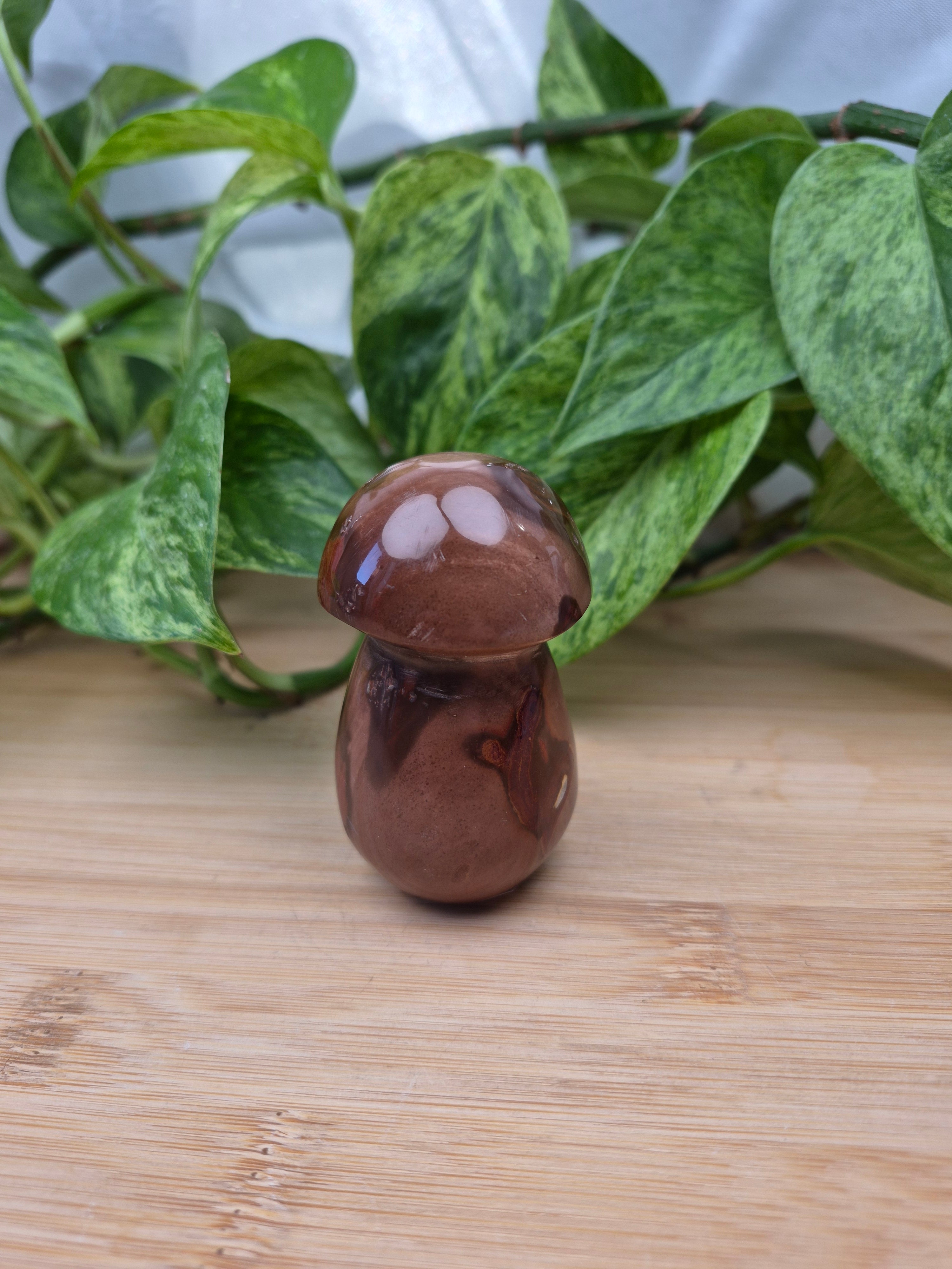 POLYCHROME JASPER MUSHROOM