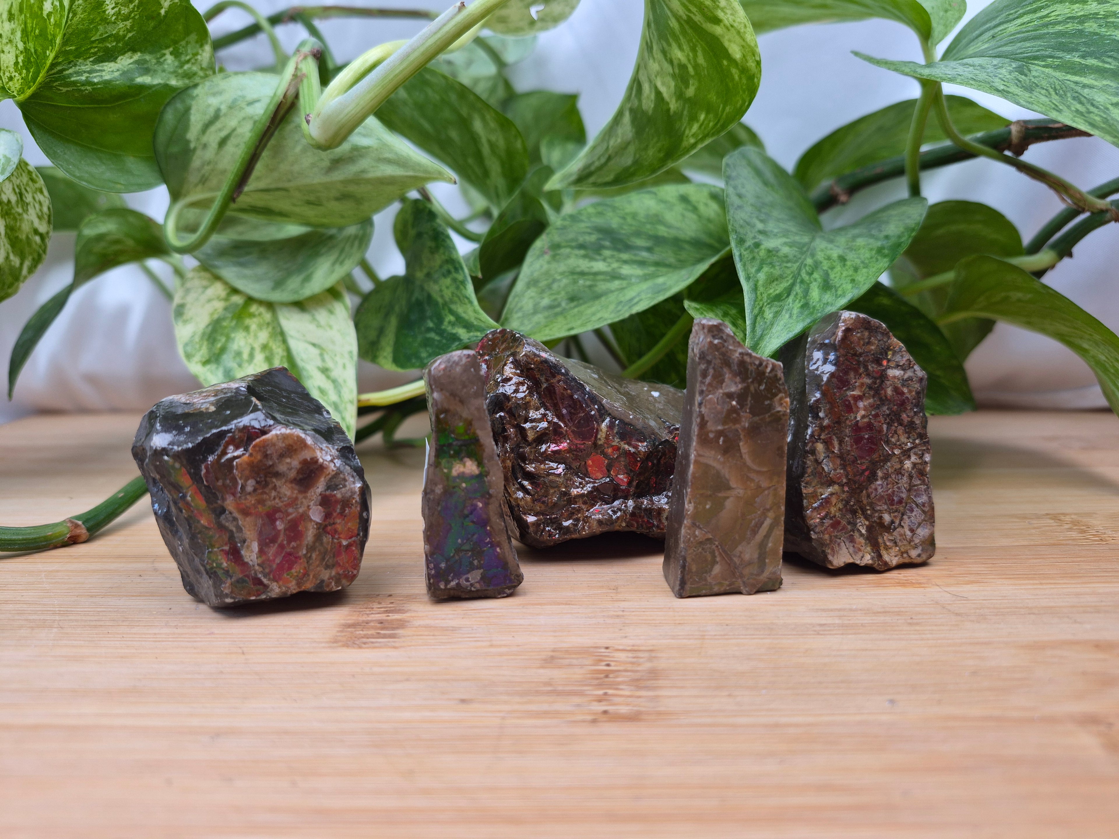 AMMOLITE ROUGH CHUNK