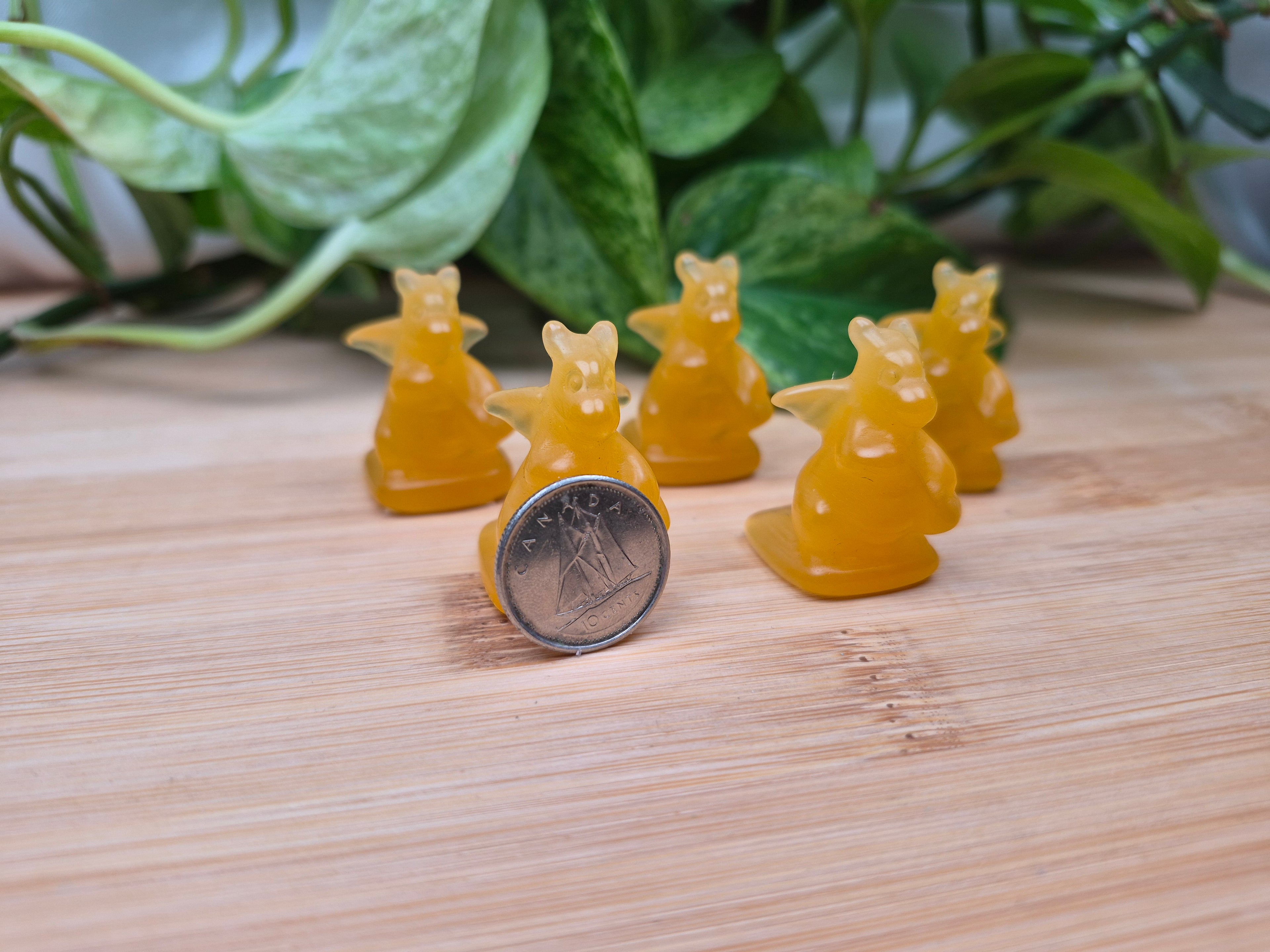 CATS EYE DRAGONITE