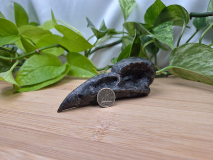 YOOPERLITE BIRD SKULL LARGE