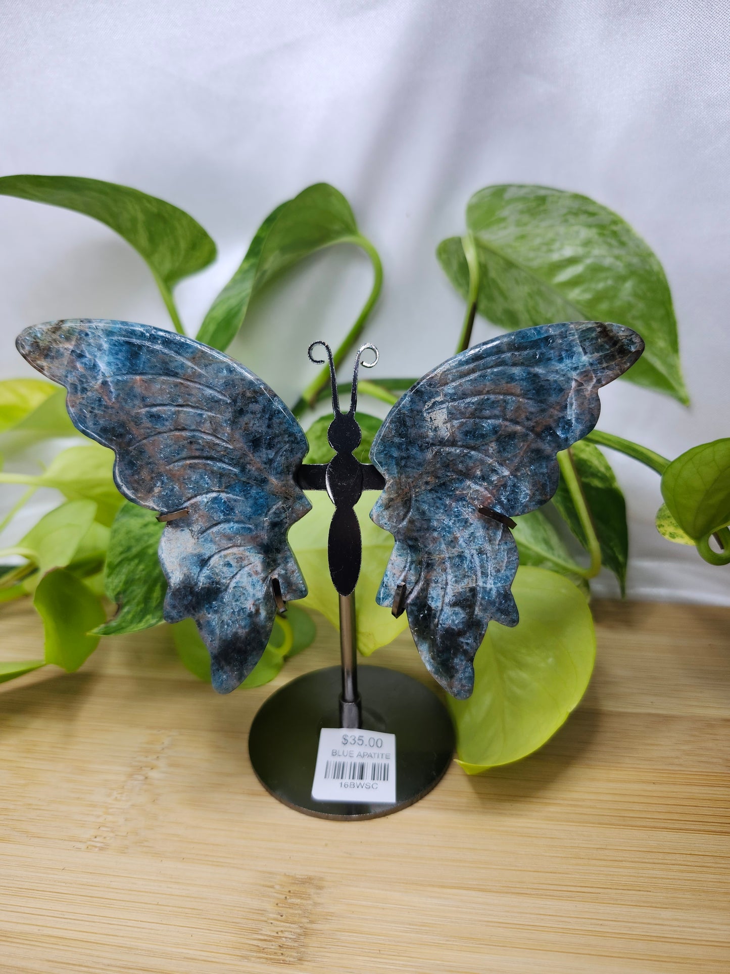 BLUE APATITE BUTTERFLY WINGS