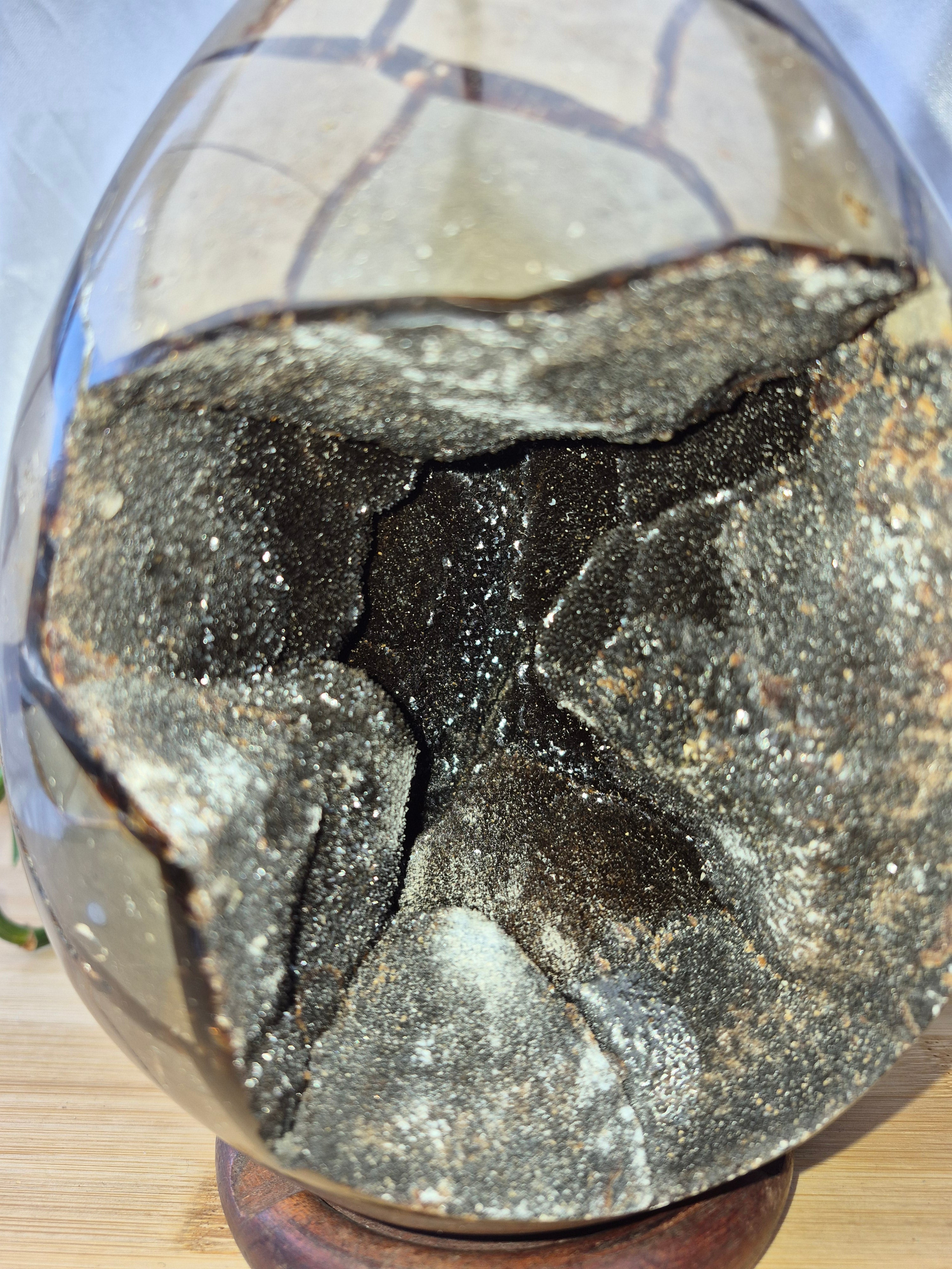 SEPTARIAN DRAGON EGG