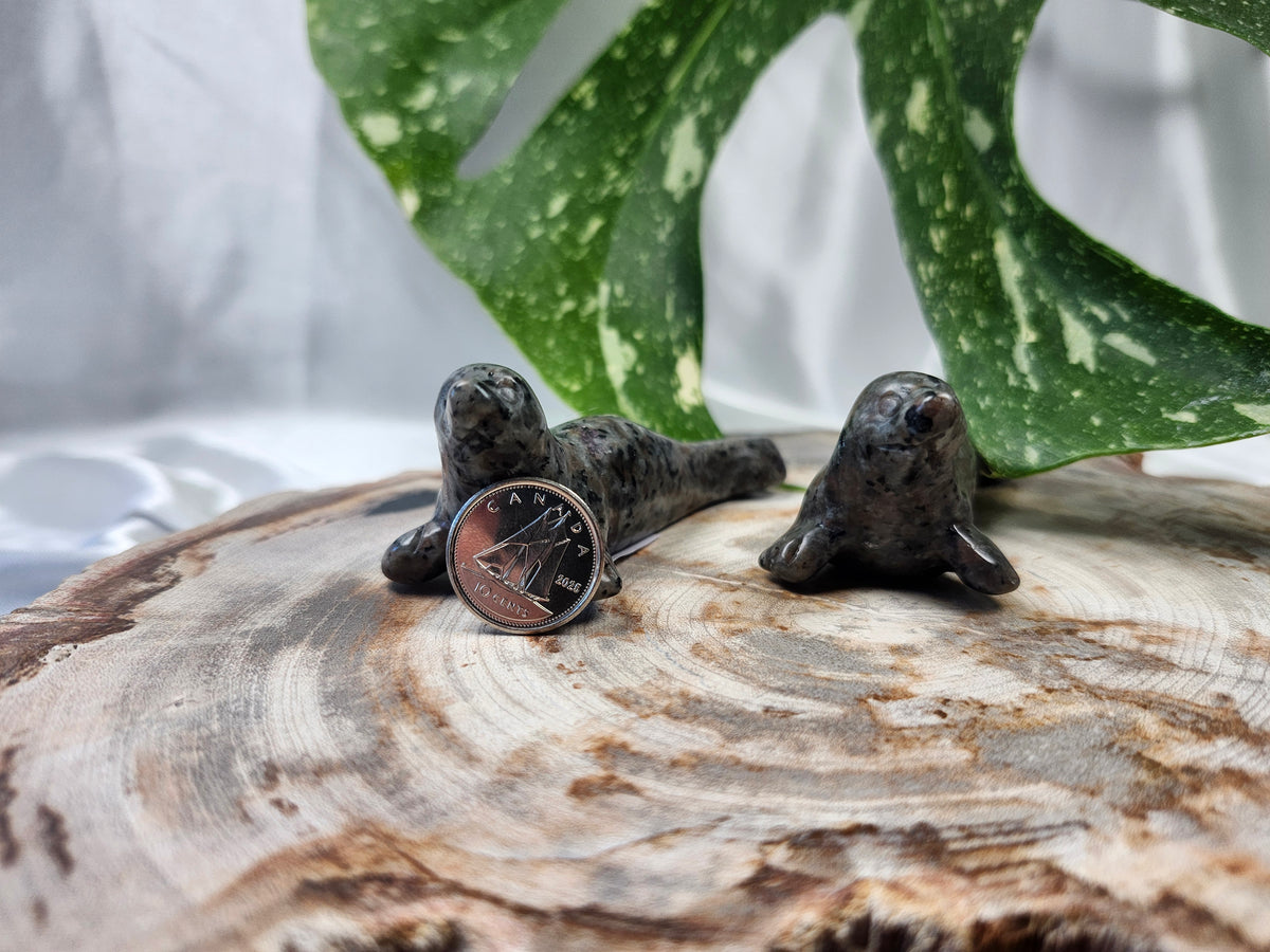YOOPERLITE SEAL