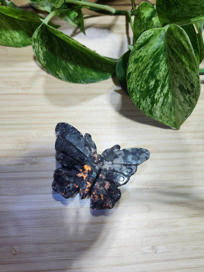 LARVIKITE BUTTERFLY