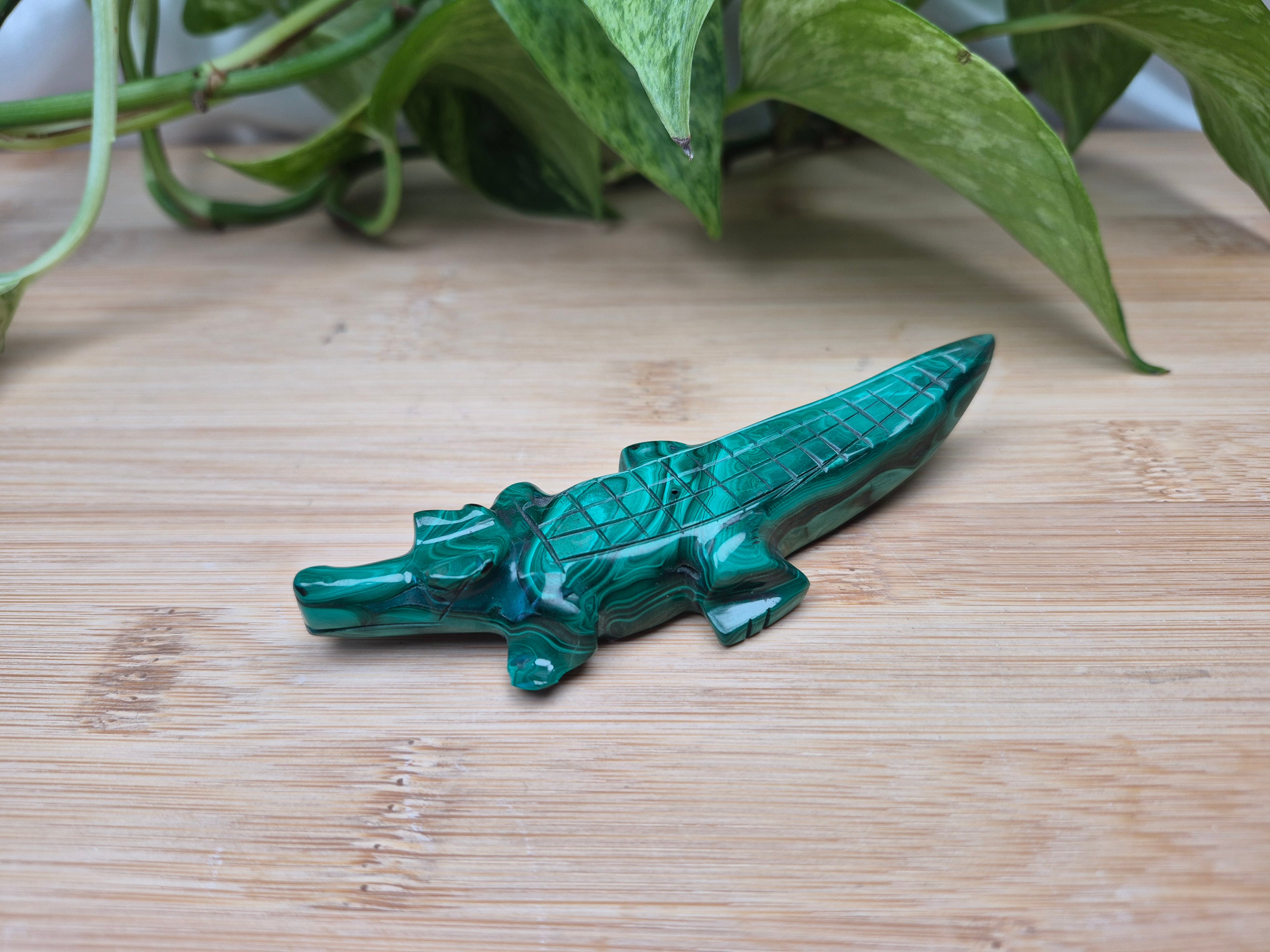 MALACHITE CROCODILE