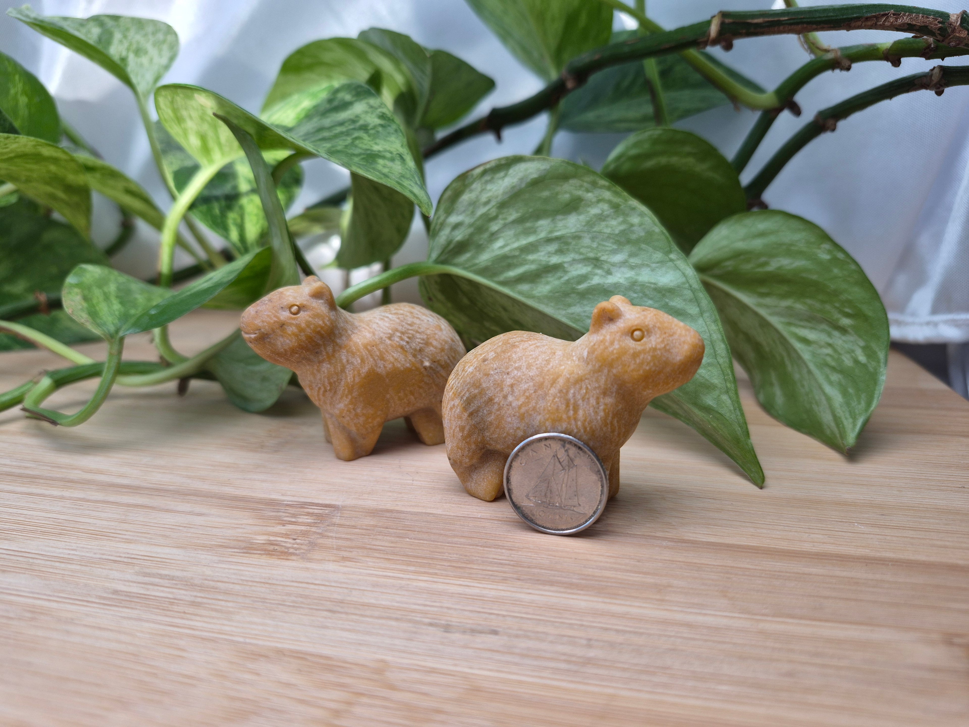 YELLOW JASPER CAPYBARA