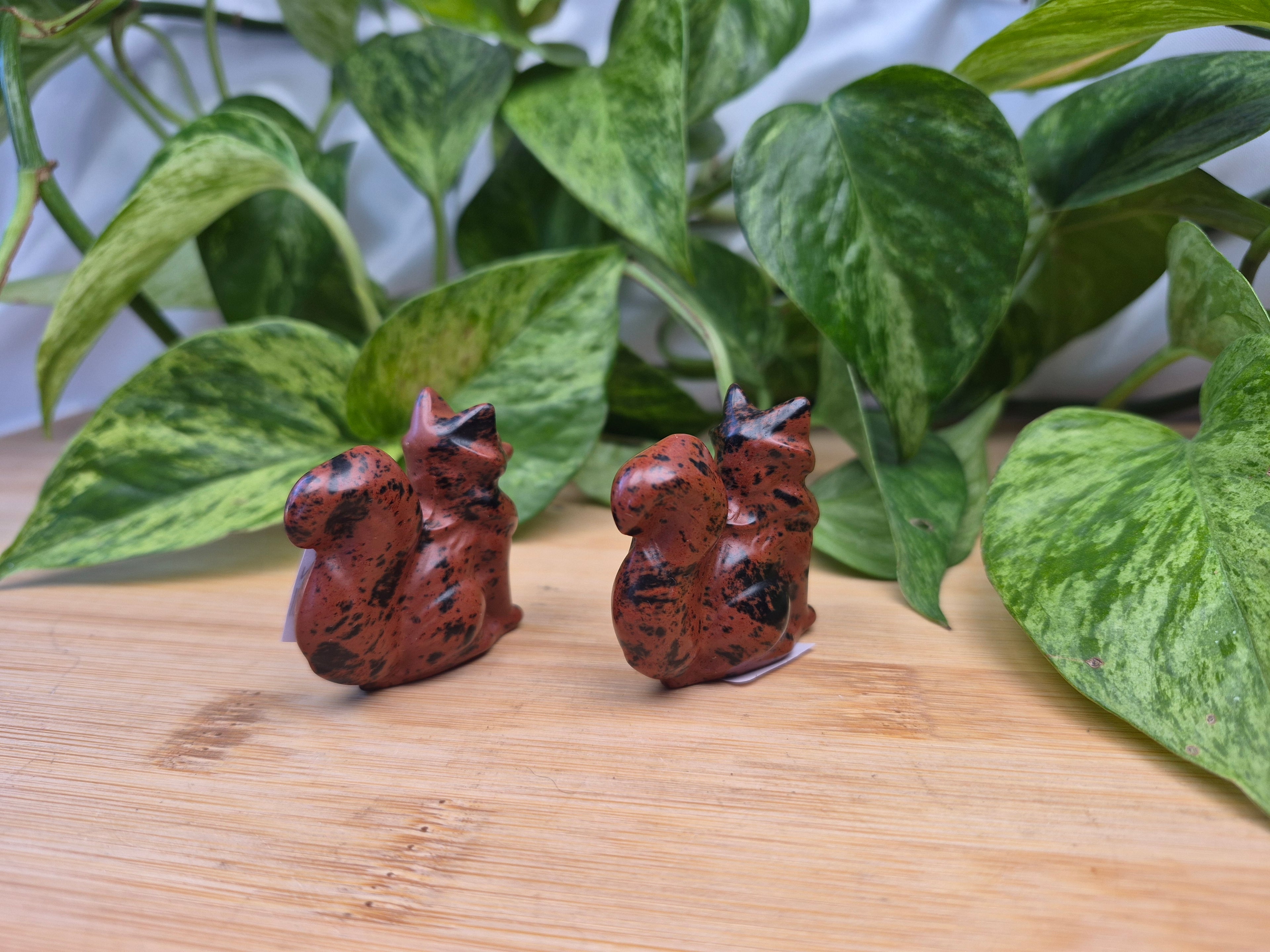 MAHOGANY OBSIDIAN FOX