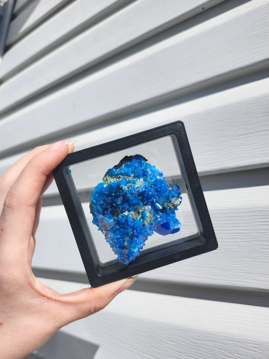 CHALCANTHITE SPECIMEN #2