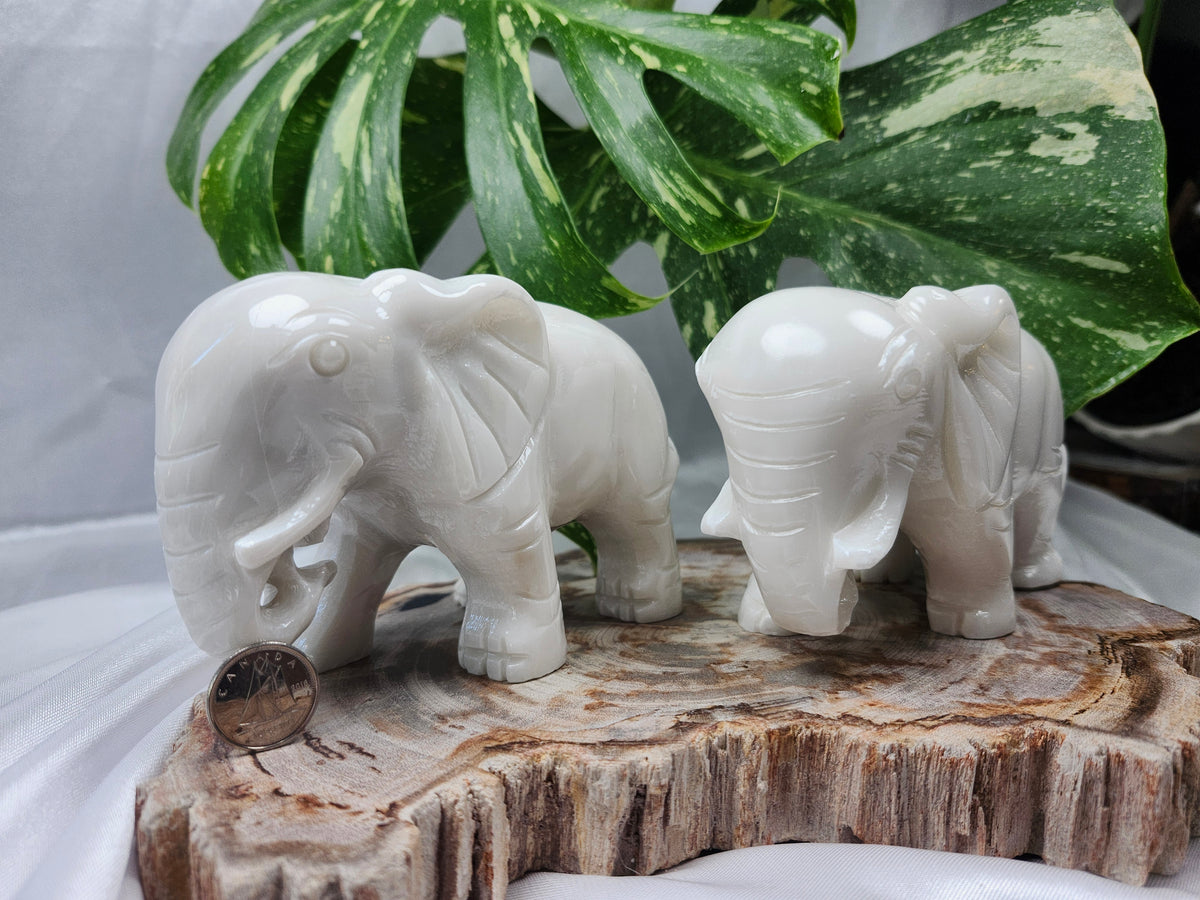 WHITE JADE ELEPHANT