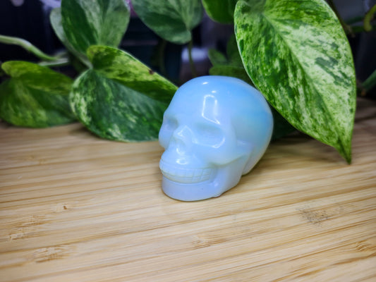 OPALITE SKULL