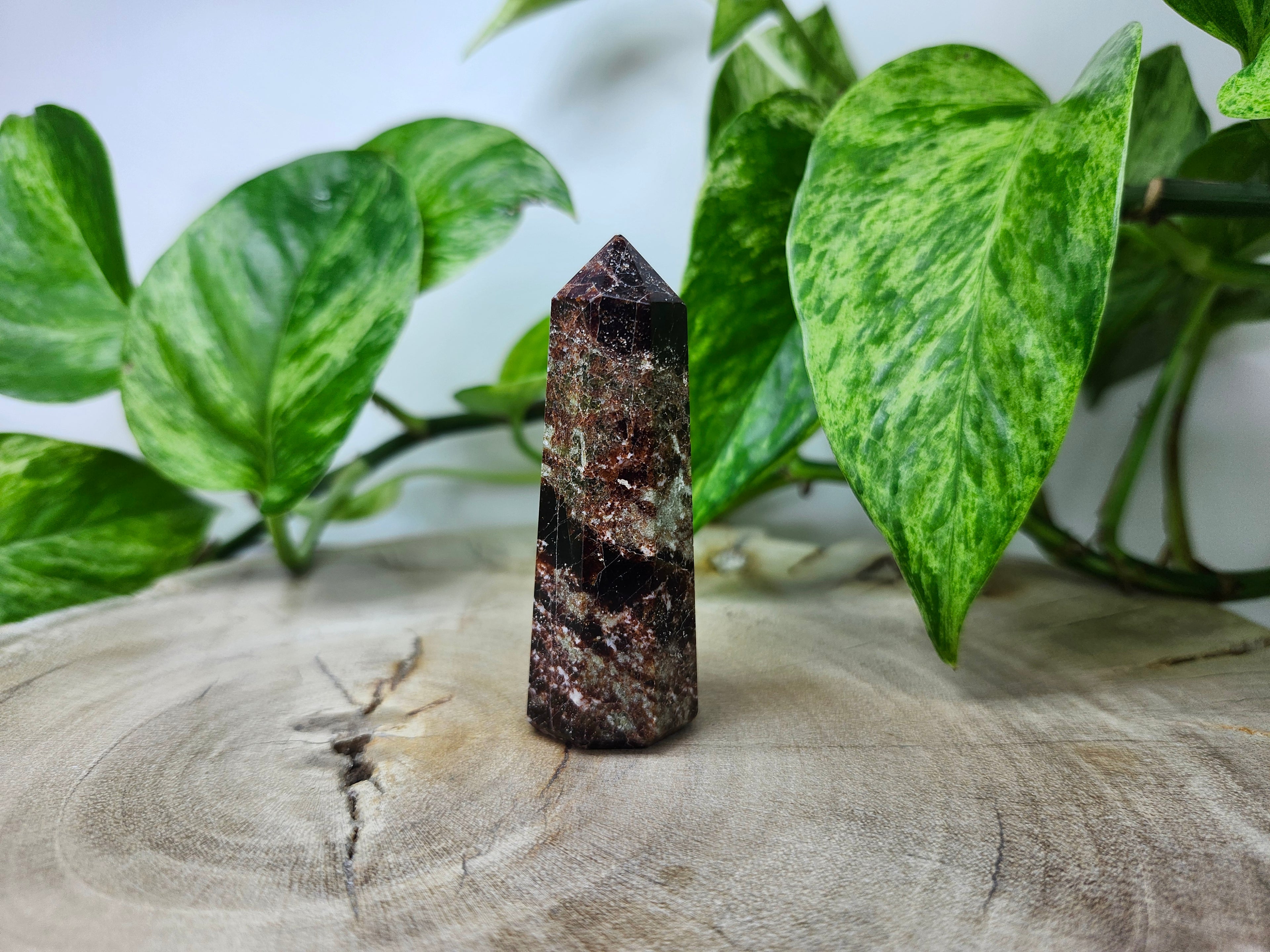 GARNET TOWER