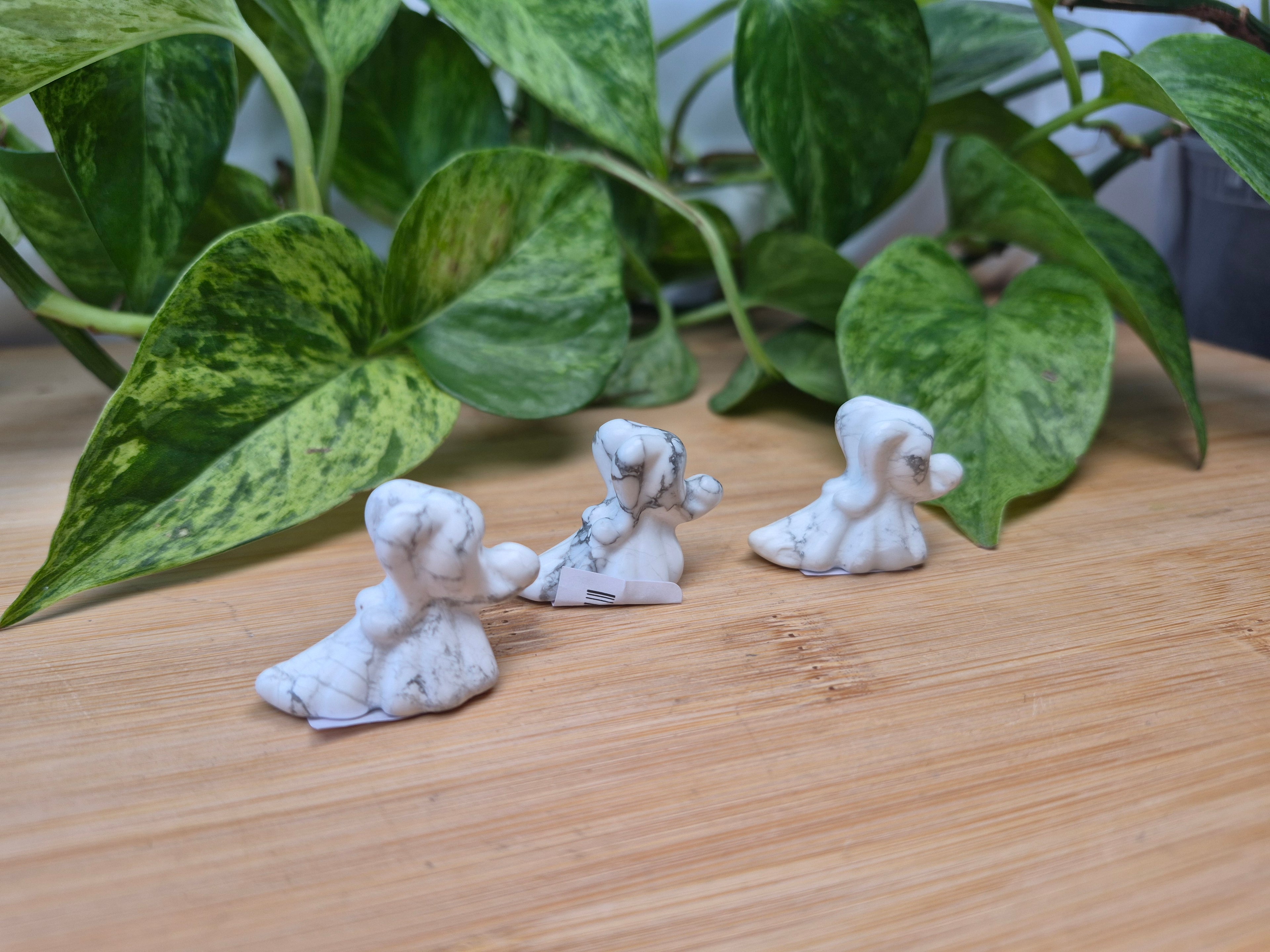 HOWLITE ZERO DOG
