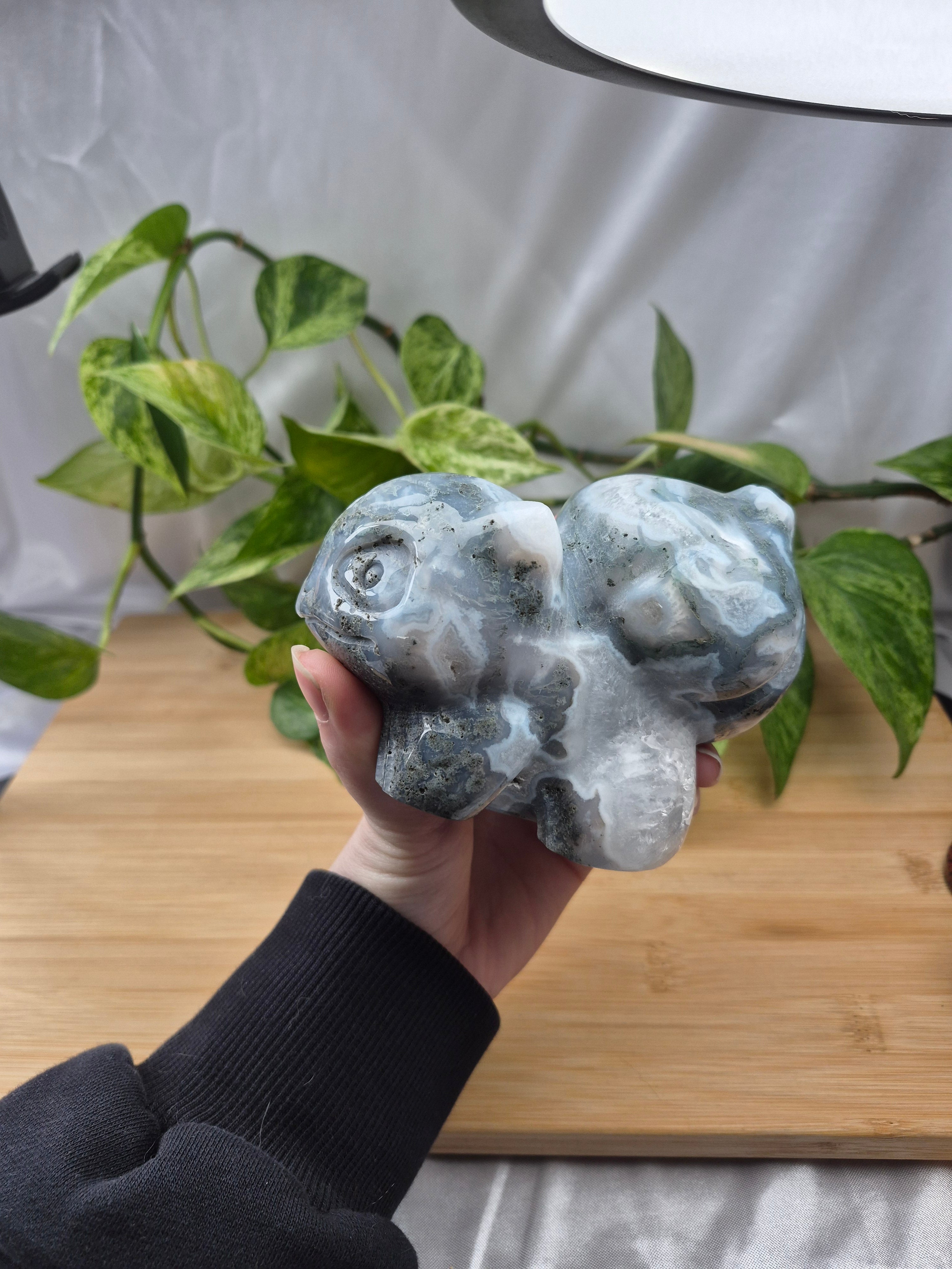 MOSS AGATE BULBASAUR XXL